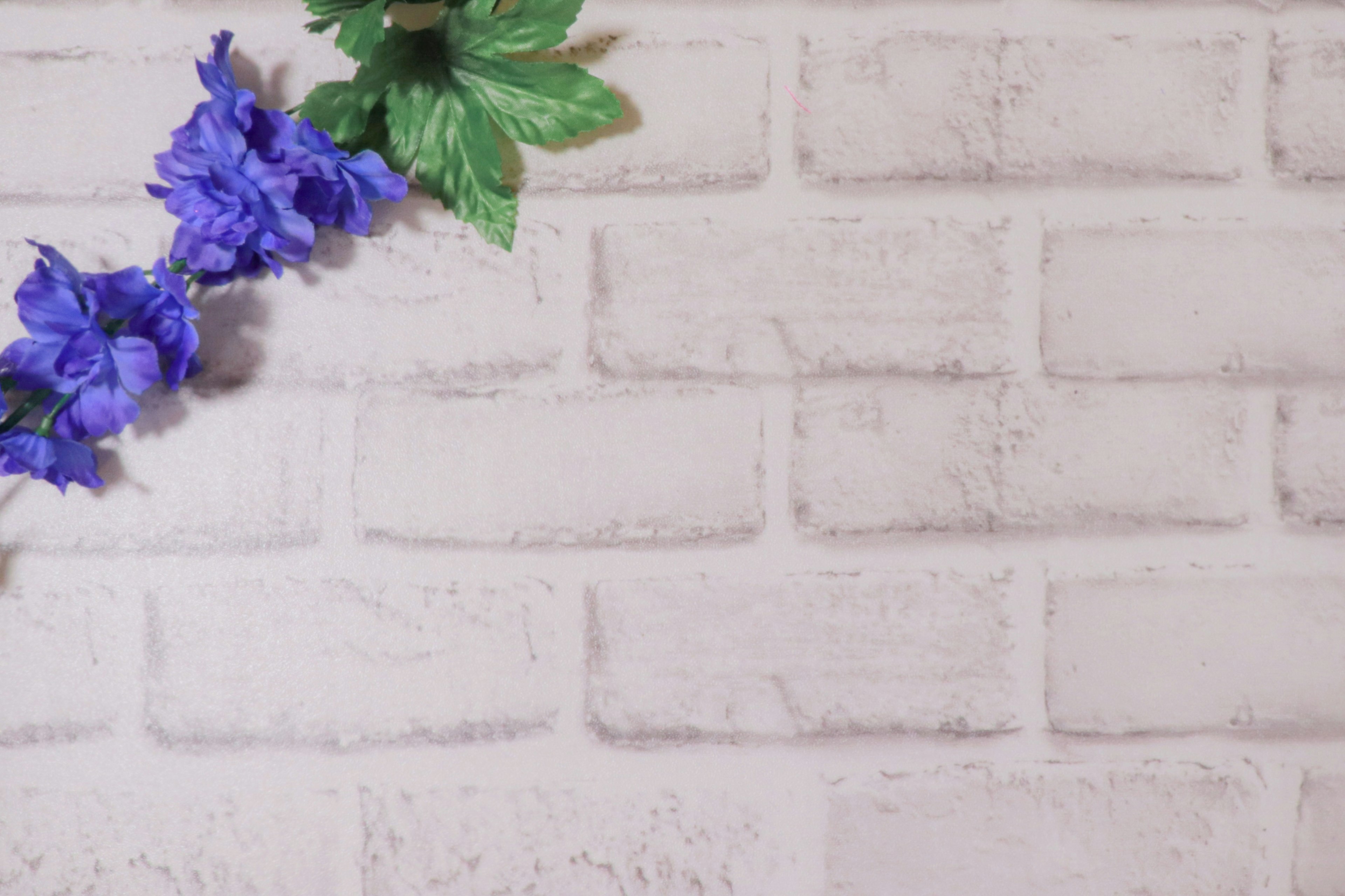 Image of a white brick wall adorned with purple flowers