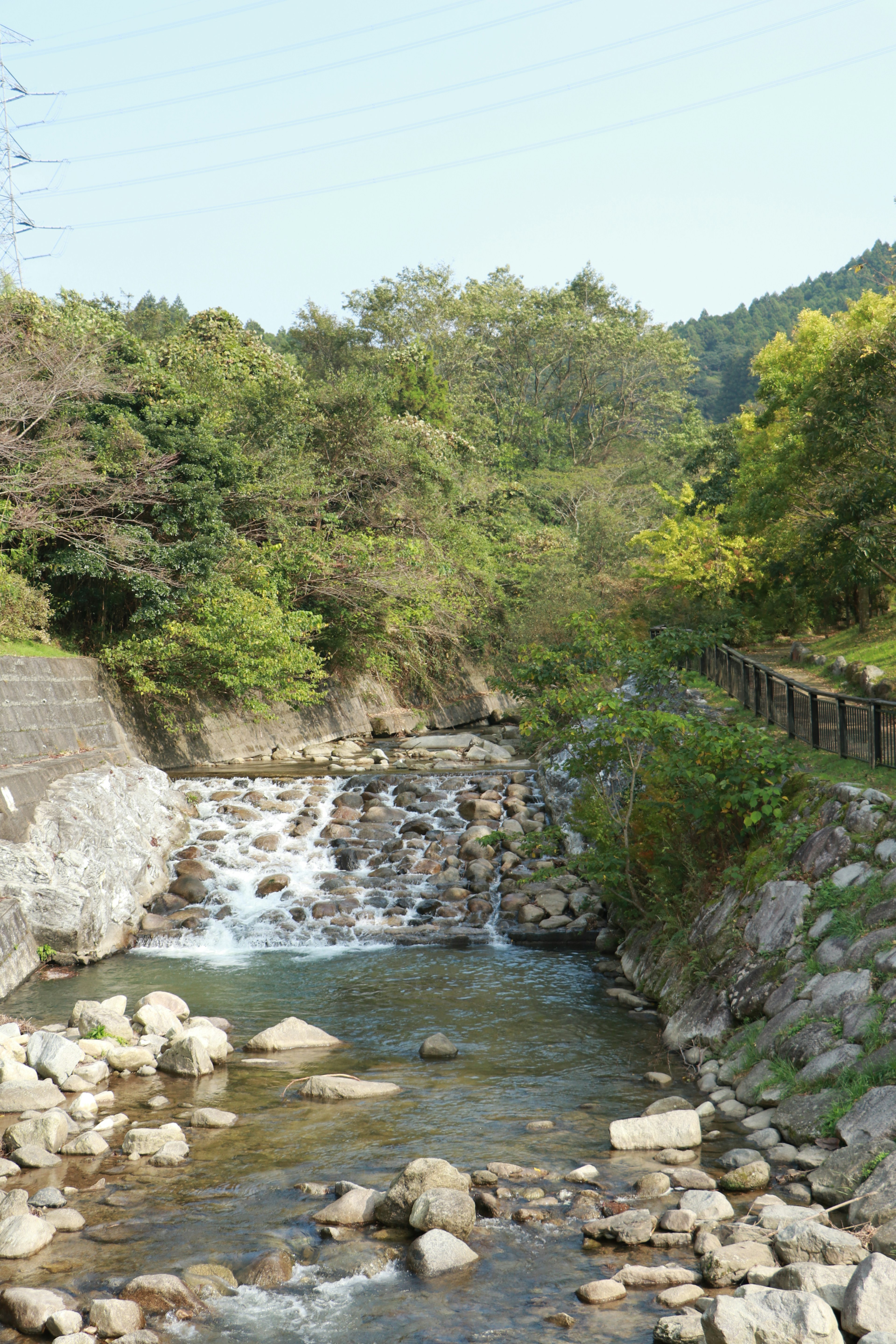 Lush river landscape with flowing water and rocky banks