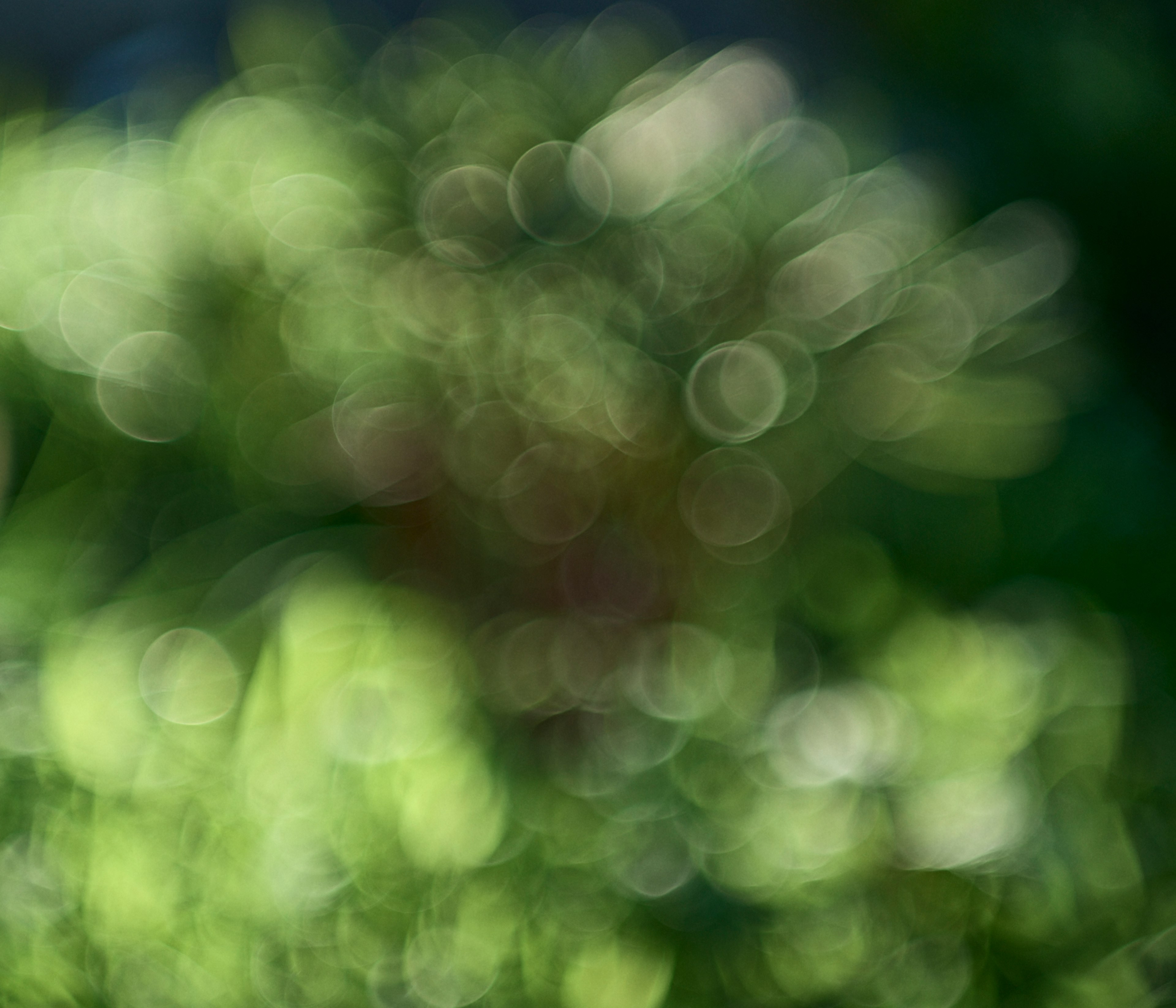 Imagen abstracta con fondo verde borroso y puntos de luz dispersos