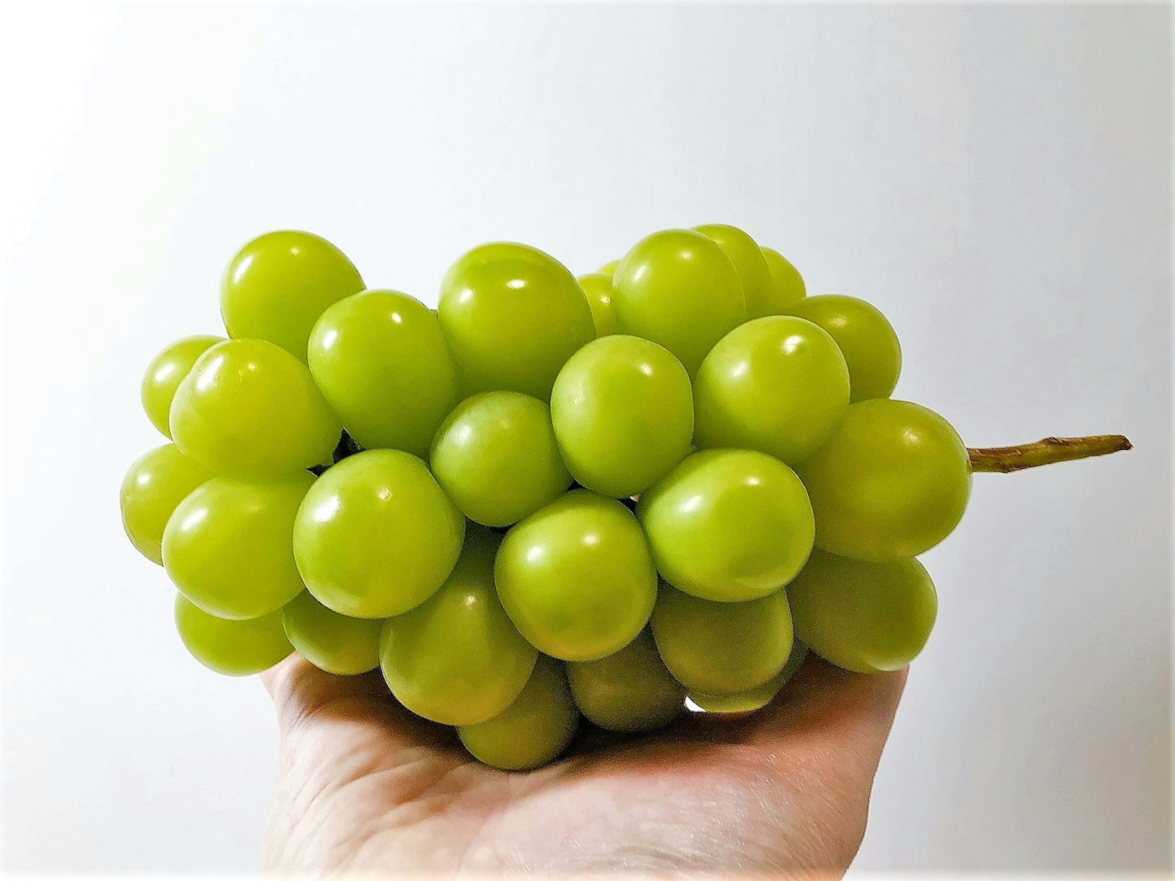 A hand holding a bunch of green grapes