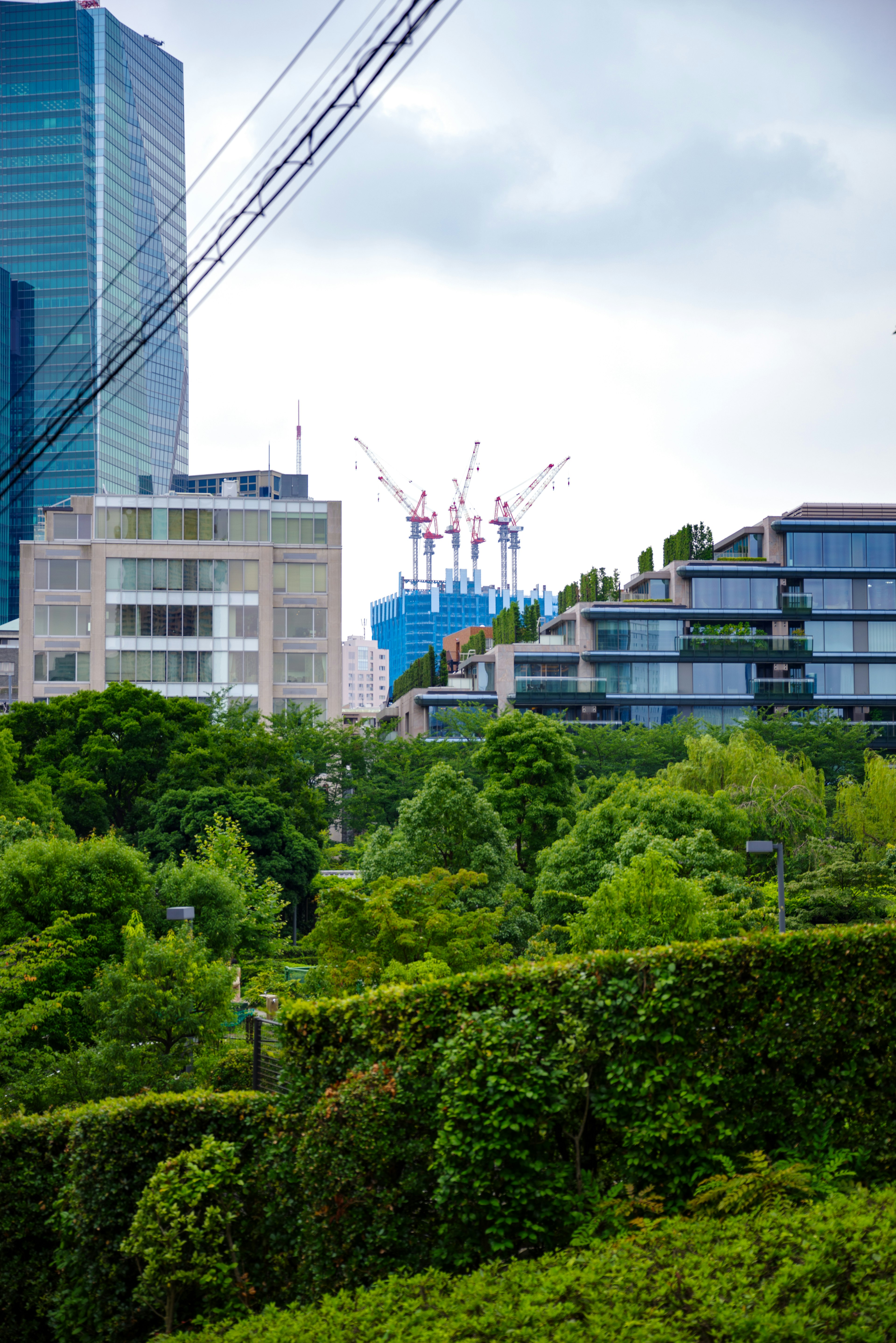 Lush green park view with skyscrapers and a construction site in the background