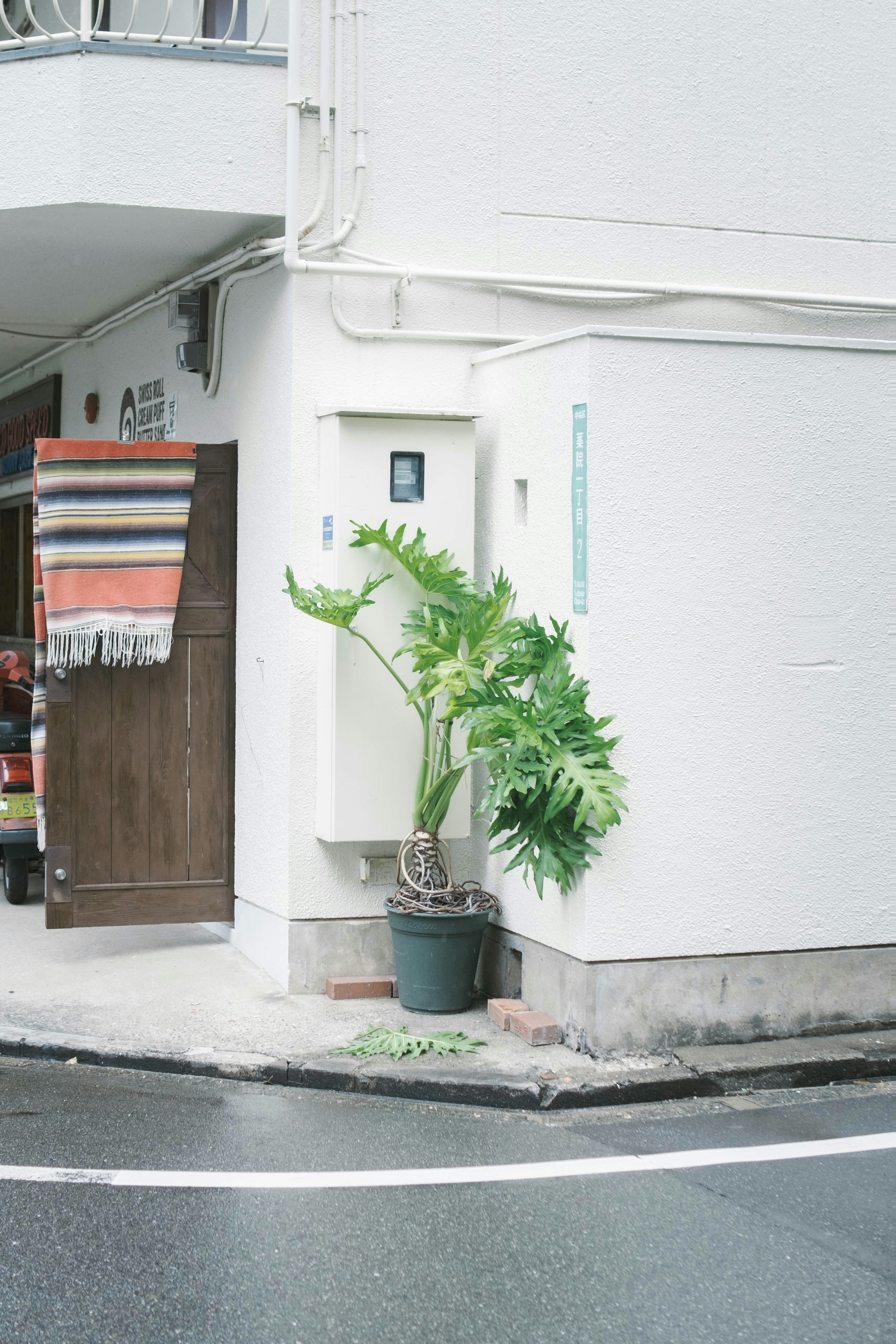 角に置かれた植物の鉢と白い壁のある都市の風景