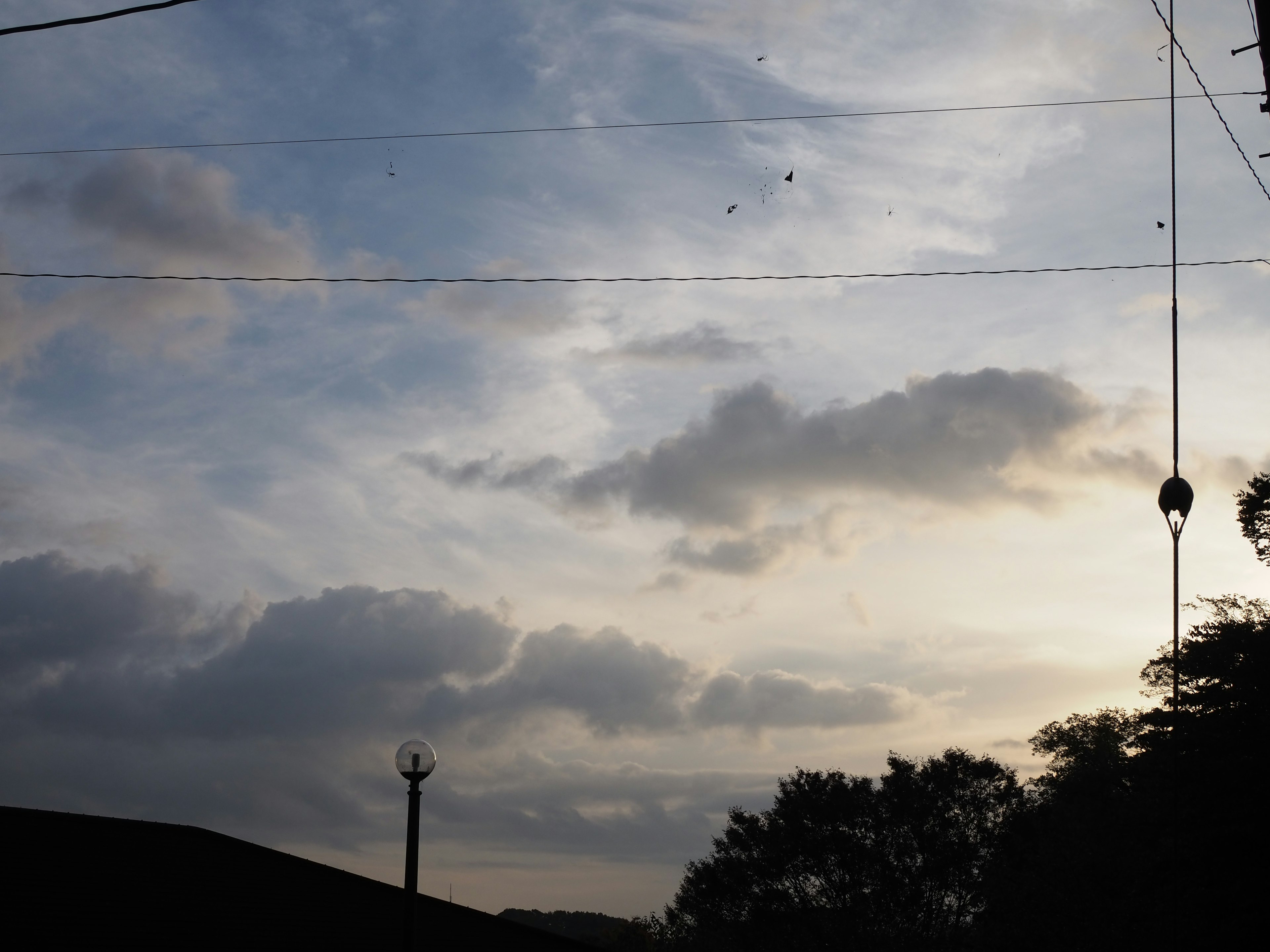 Bewölkter Himmel bei Dämmerung mit Silhouetten von Bäumen und Stromleitungen