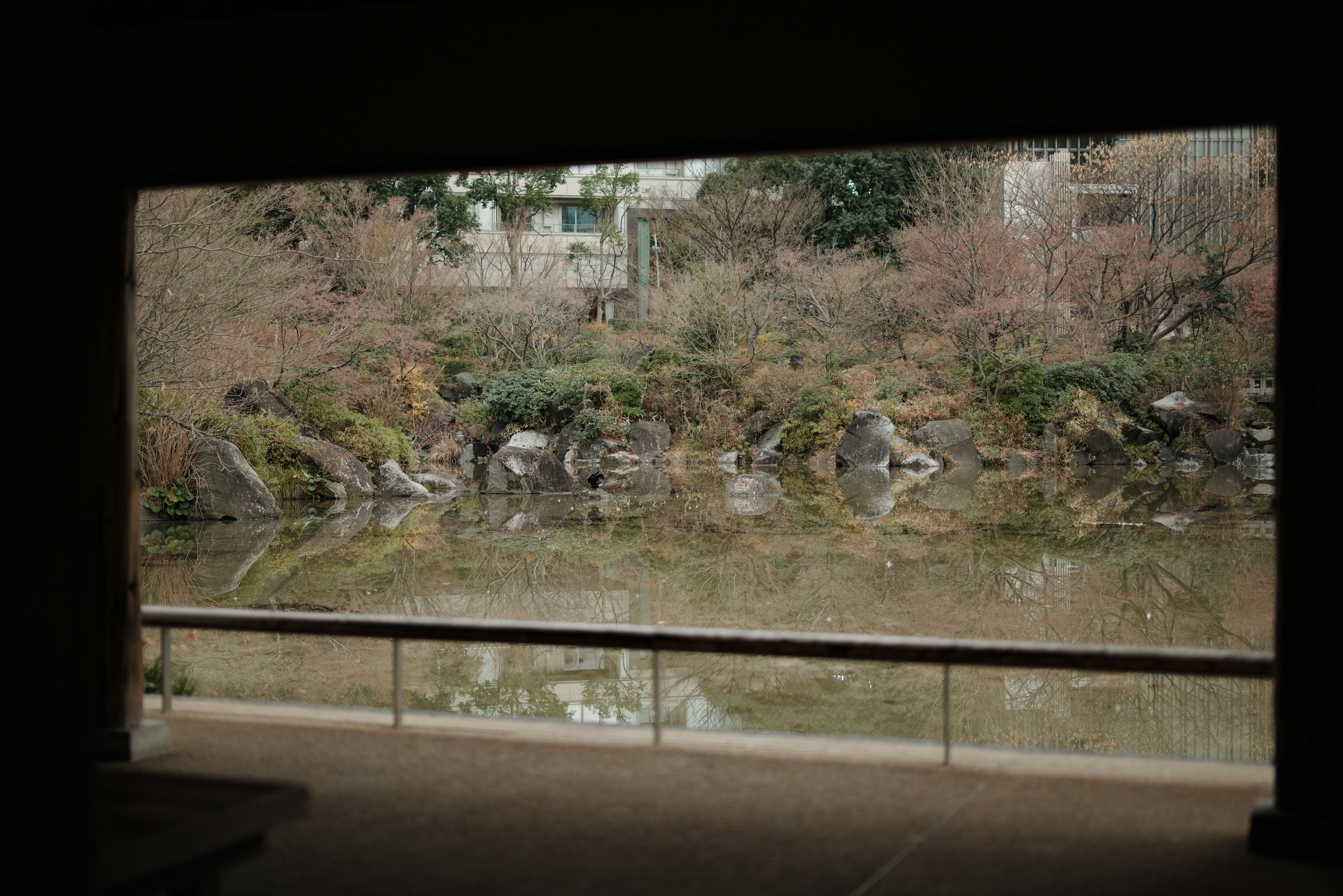 静かな水辺の風景と周囲の自然