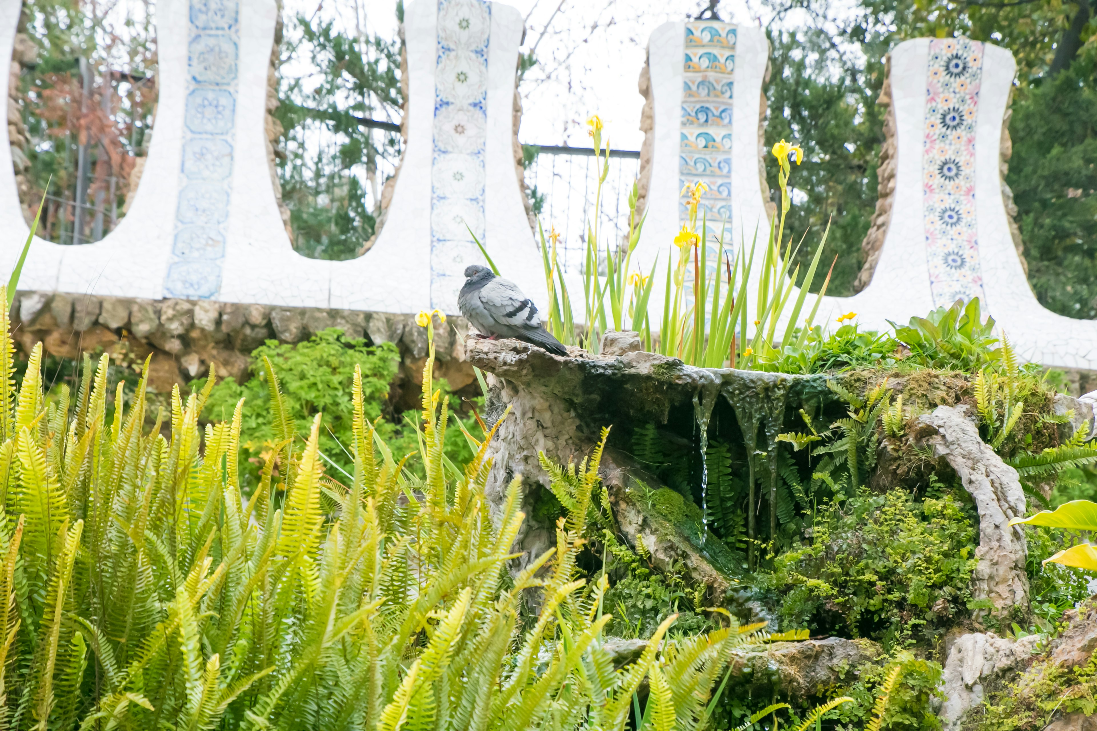 A bird perched near a small waterfall surrounded by lush greenery and a white decorative wall