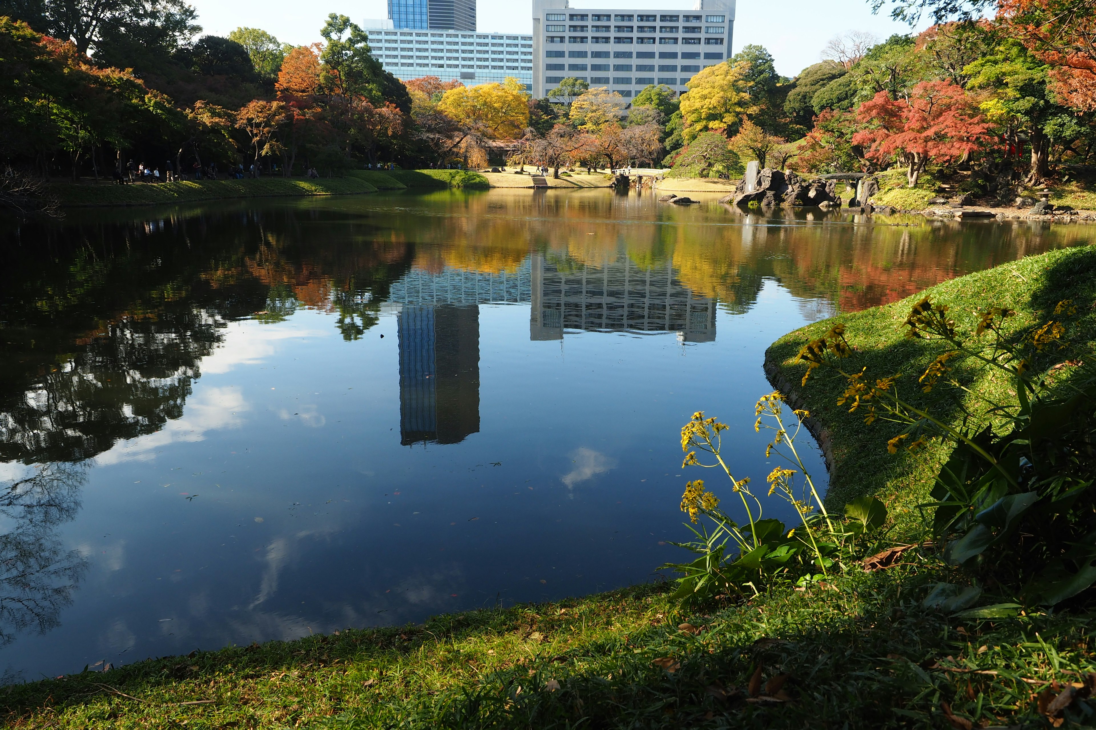 静かな池と秋の紅葉が映る都市公園の風景