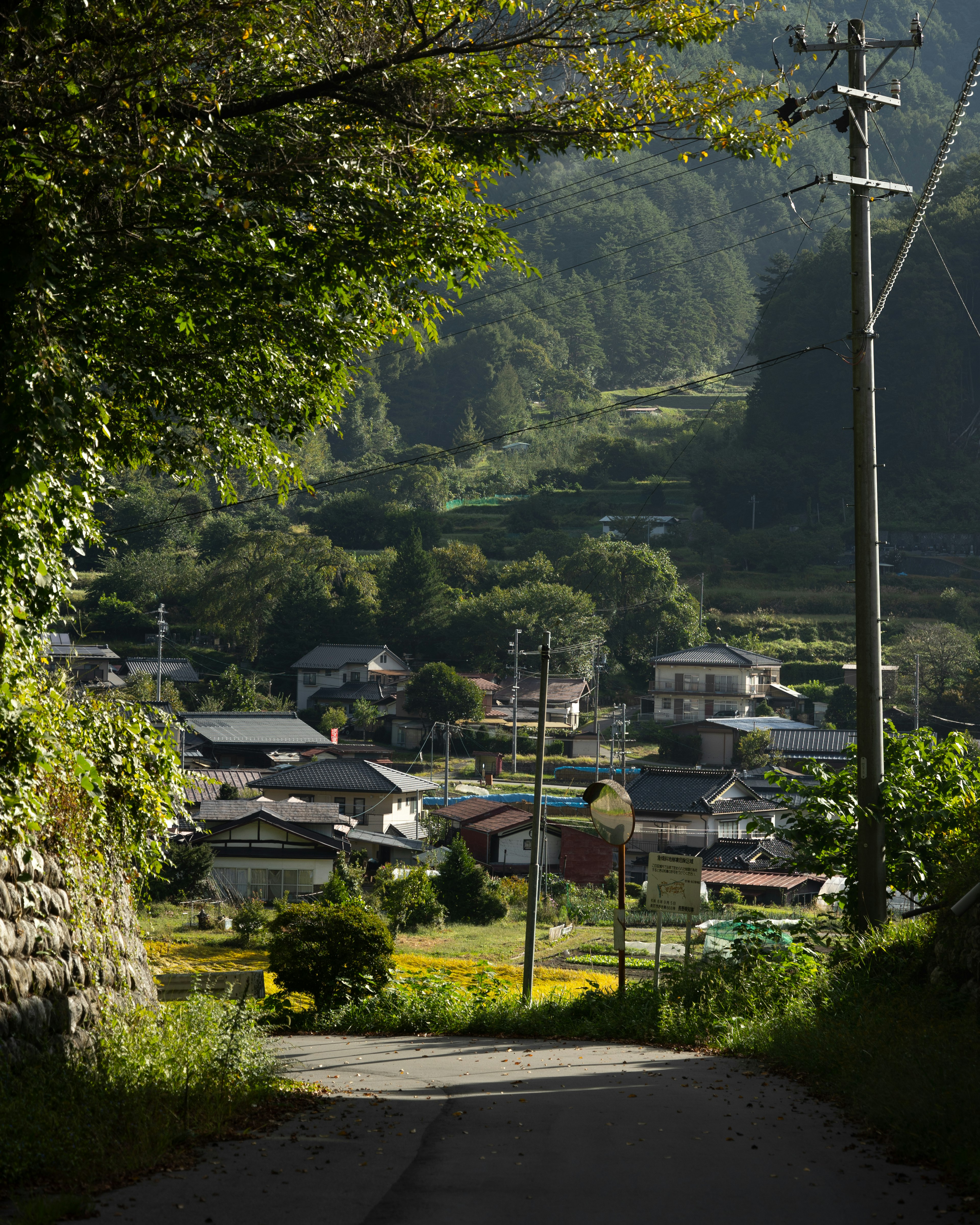 翠綠山中小村莊的風景 有蜿蜒的道路和電線桿