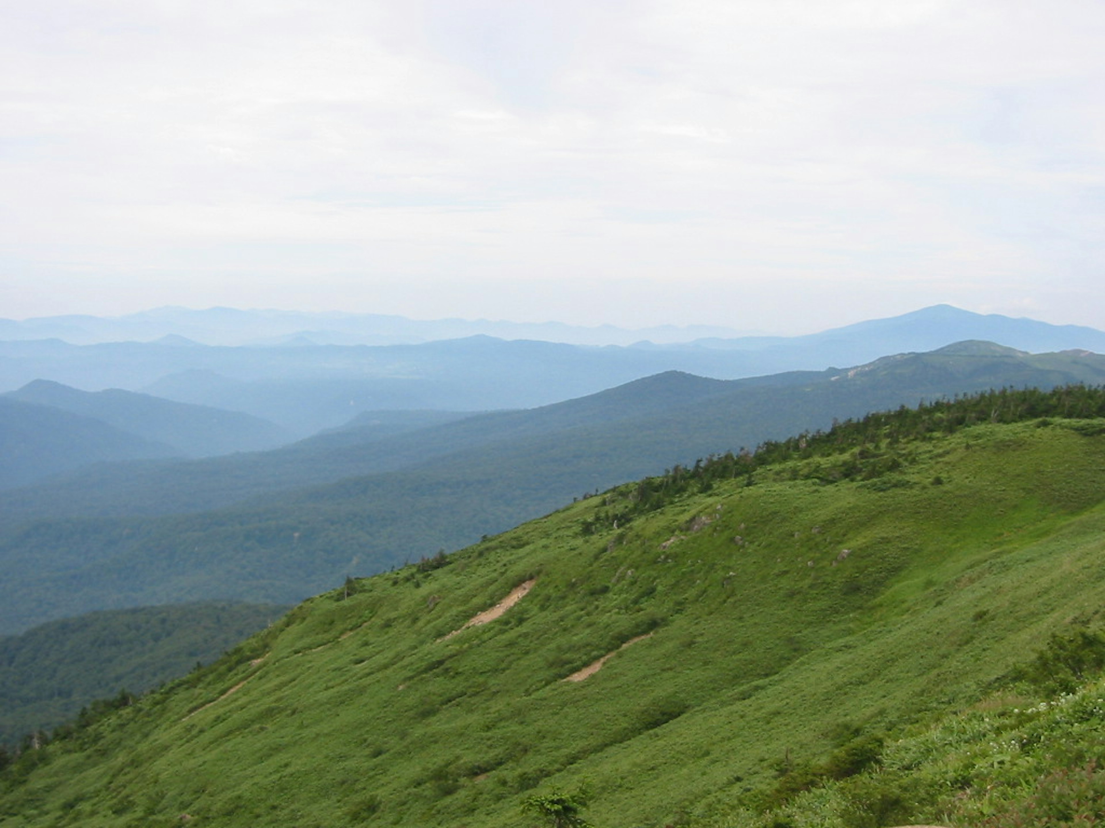 Pente verdoyante avec des montagnes bleues au loin