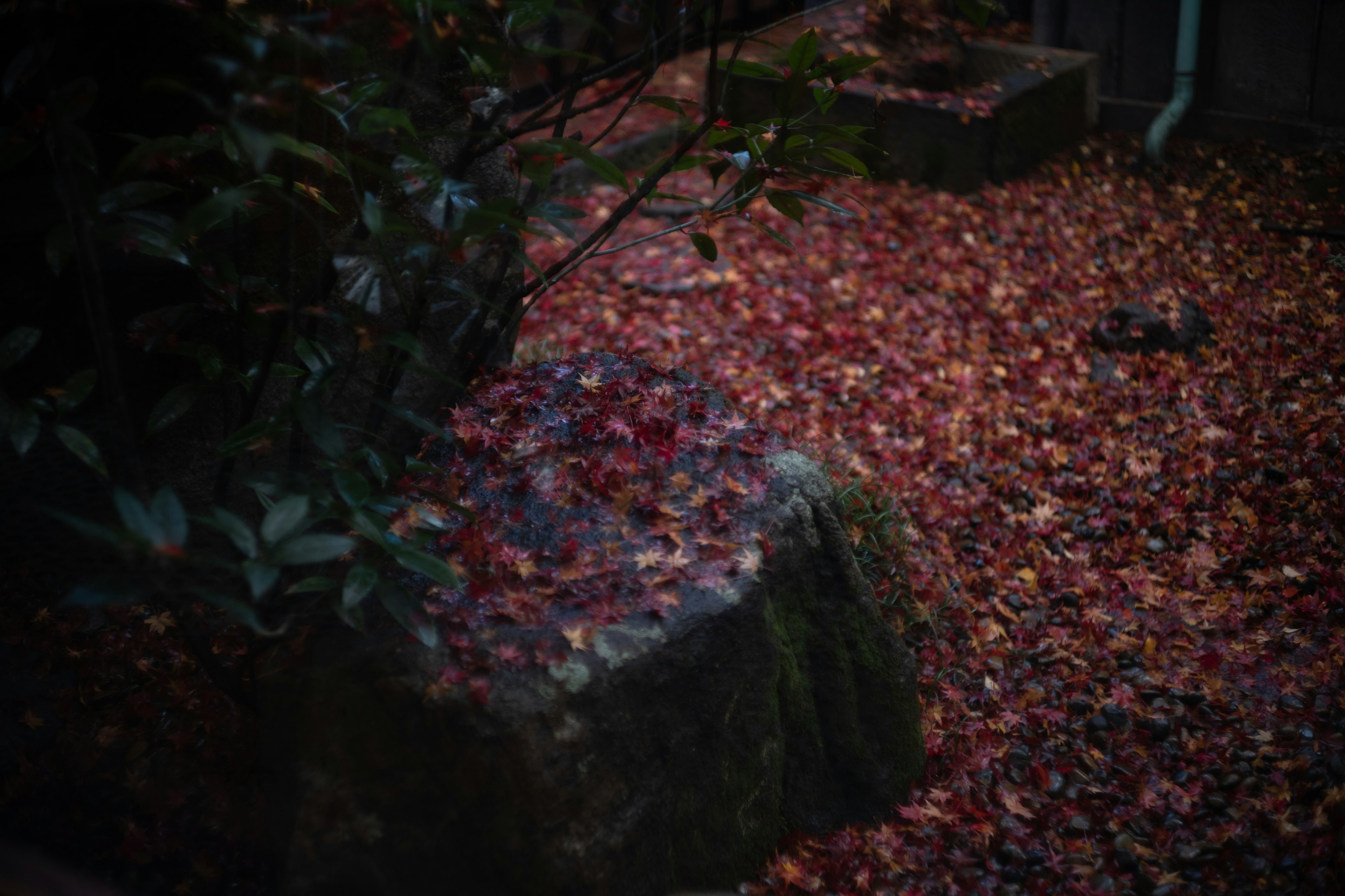 Una piedra de jardín cubierta de hojas caídas coloridas