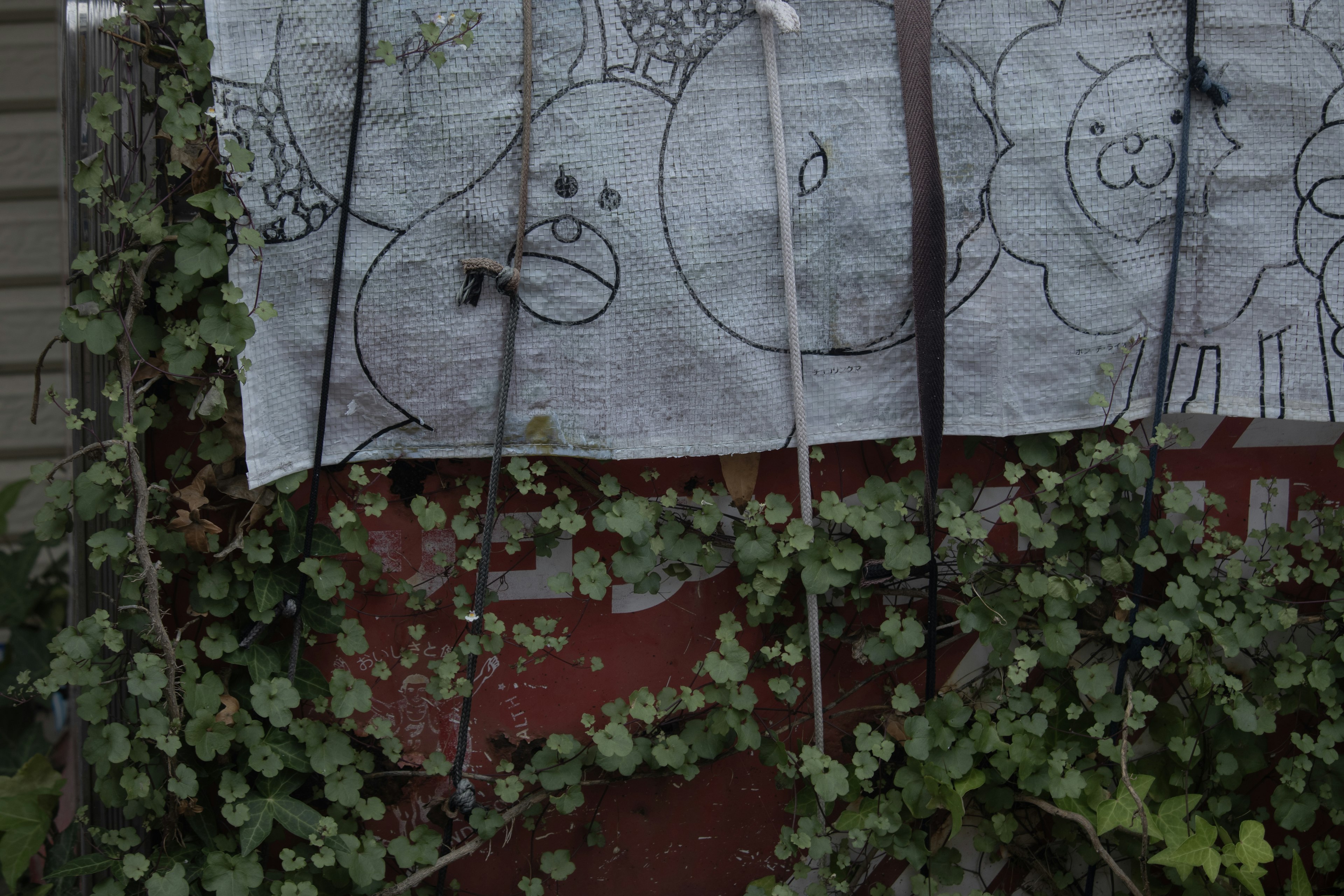 A white cloth with children's drawings surrounded by green vines