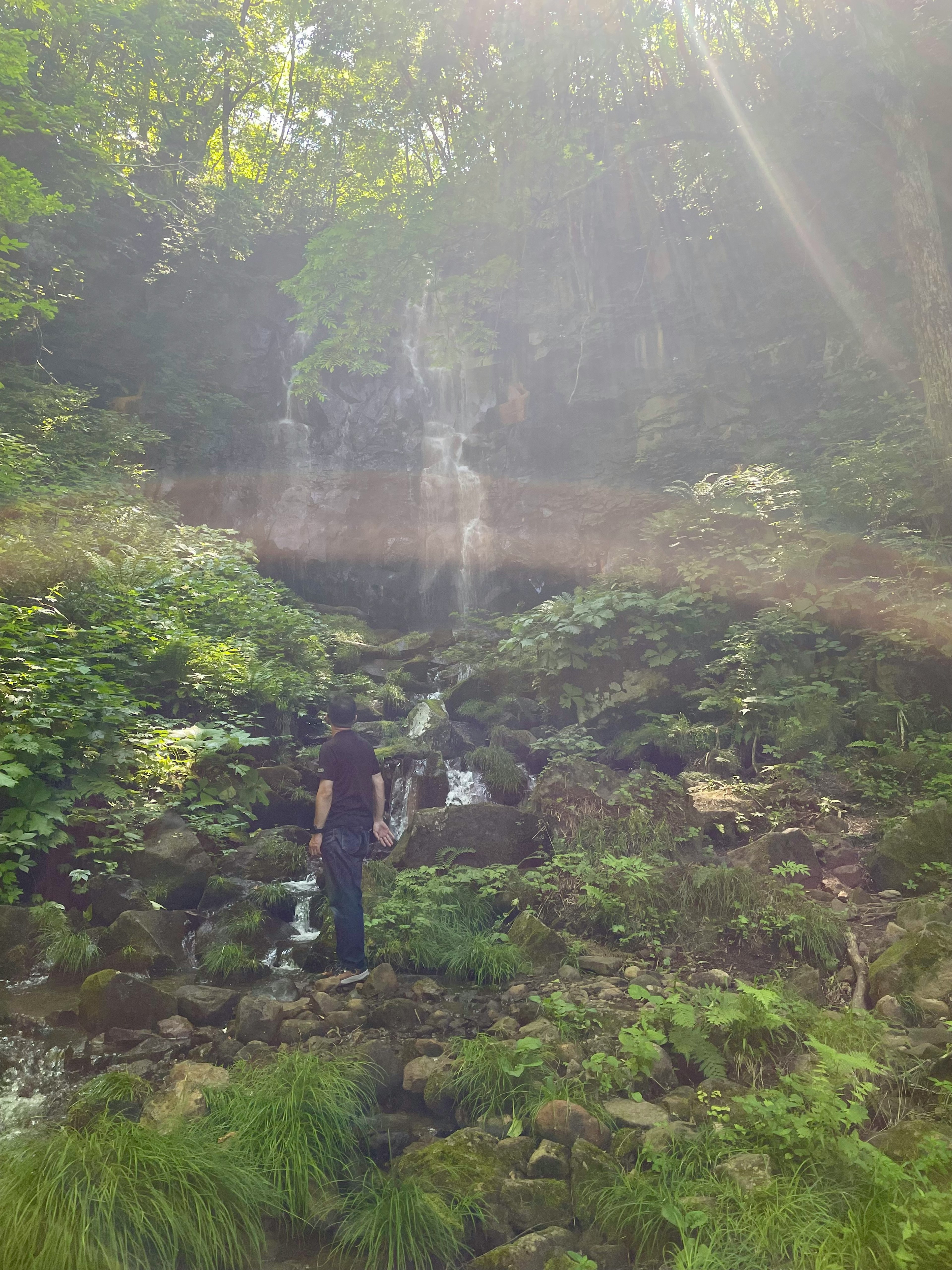 Seseorang yang menatap air terjun kecil dan aliran berbatu di hutan lebat