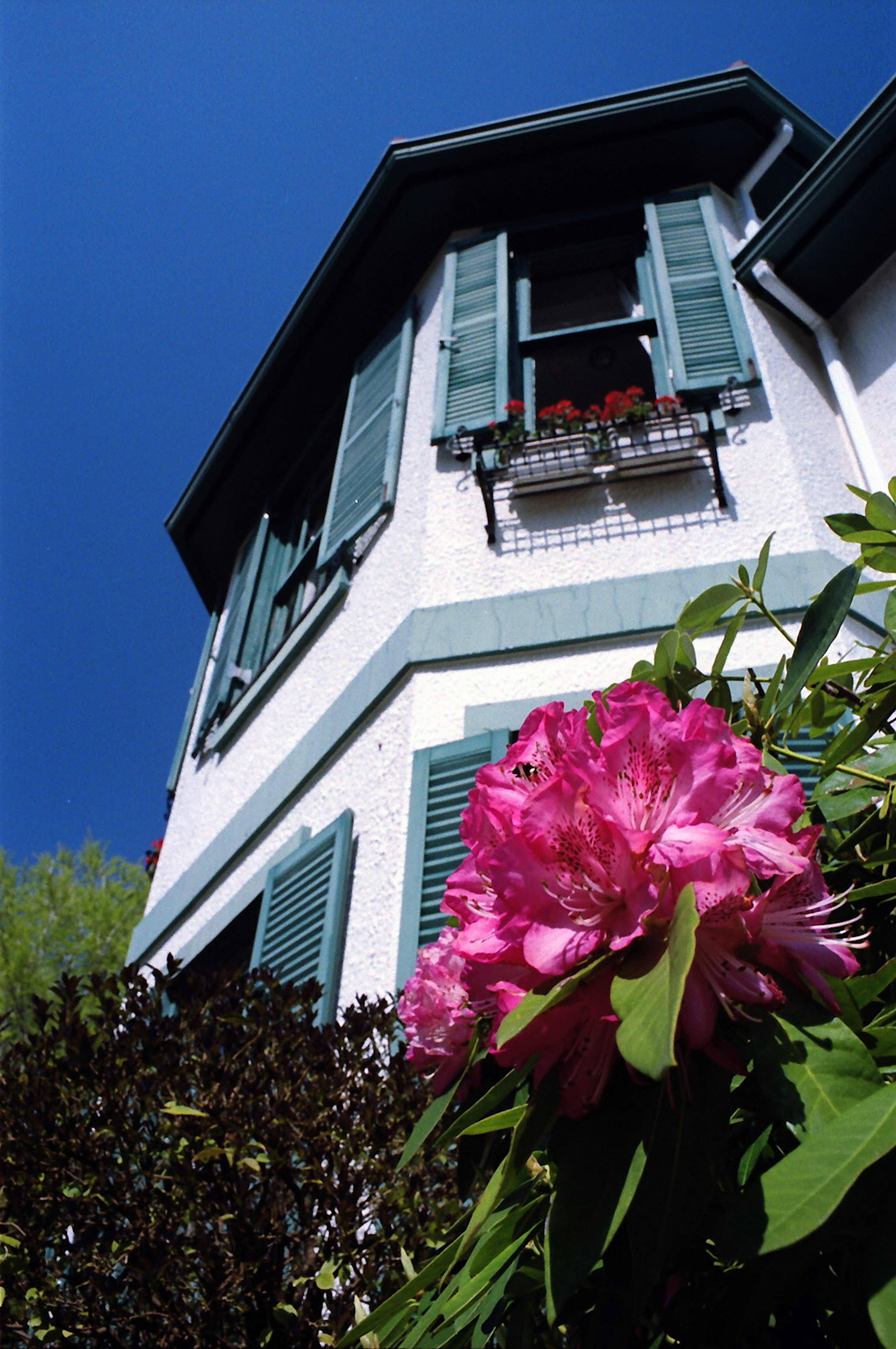 Casa con persianas verdes bajo un cielo azul con flores rosas