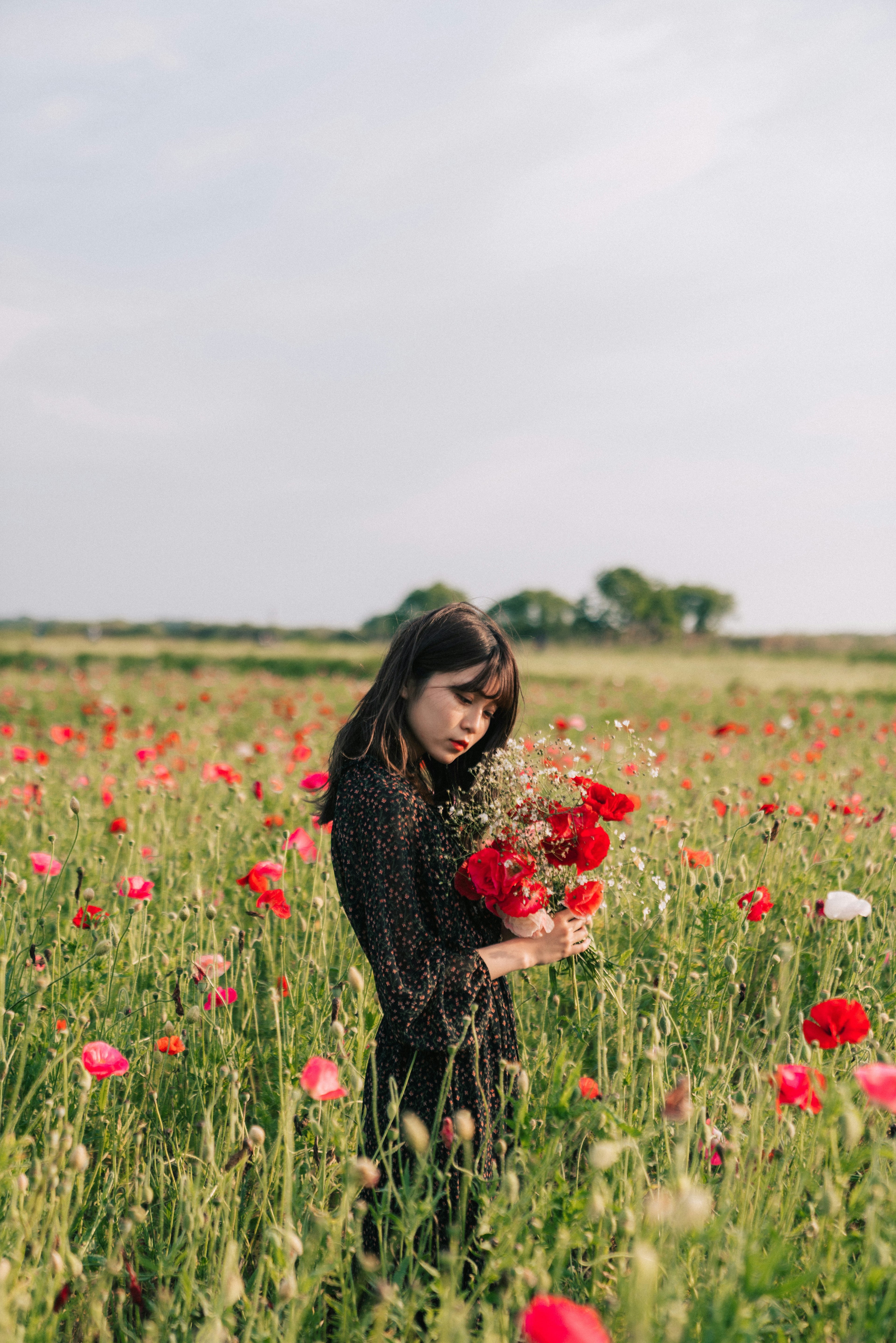 赤い花に囲まれた女性が花束を持って立っている風景