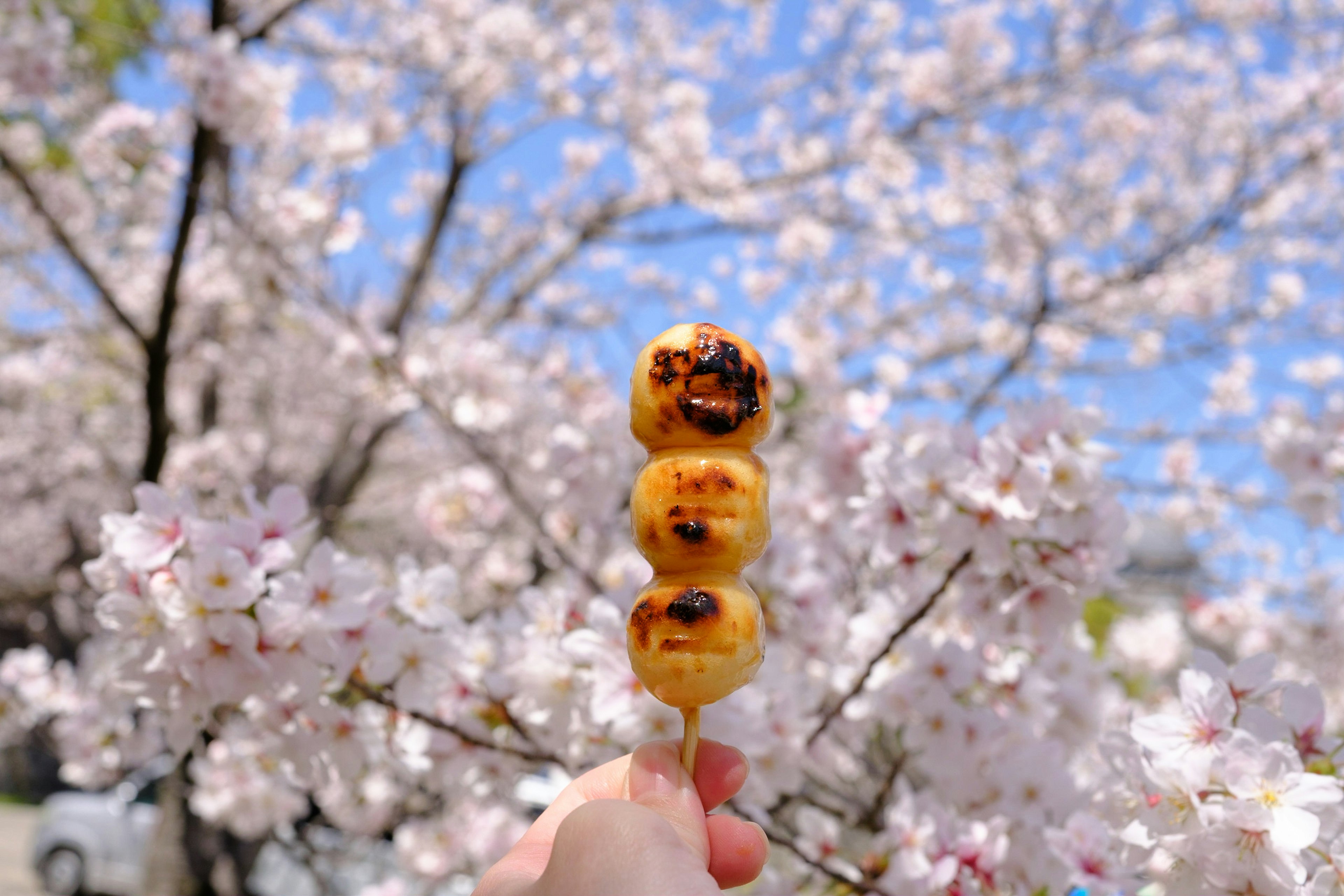 Mano sosteniendo tres dango a la parrilla frente a cerezos en flor