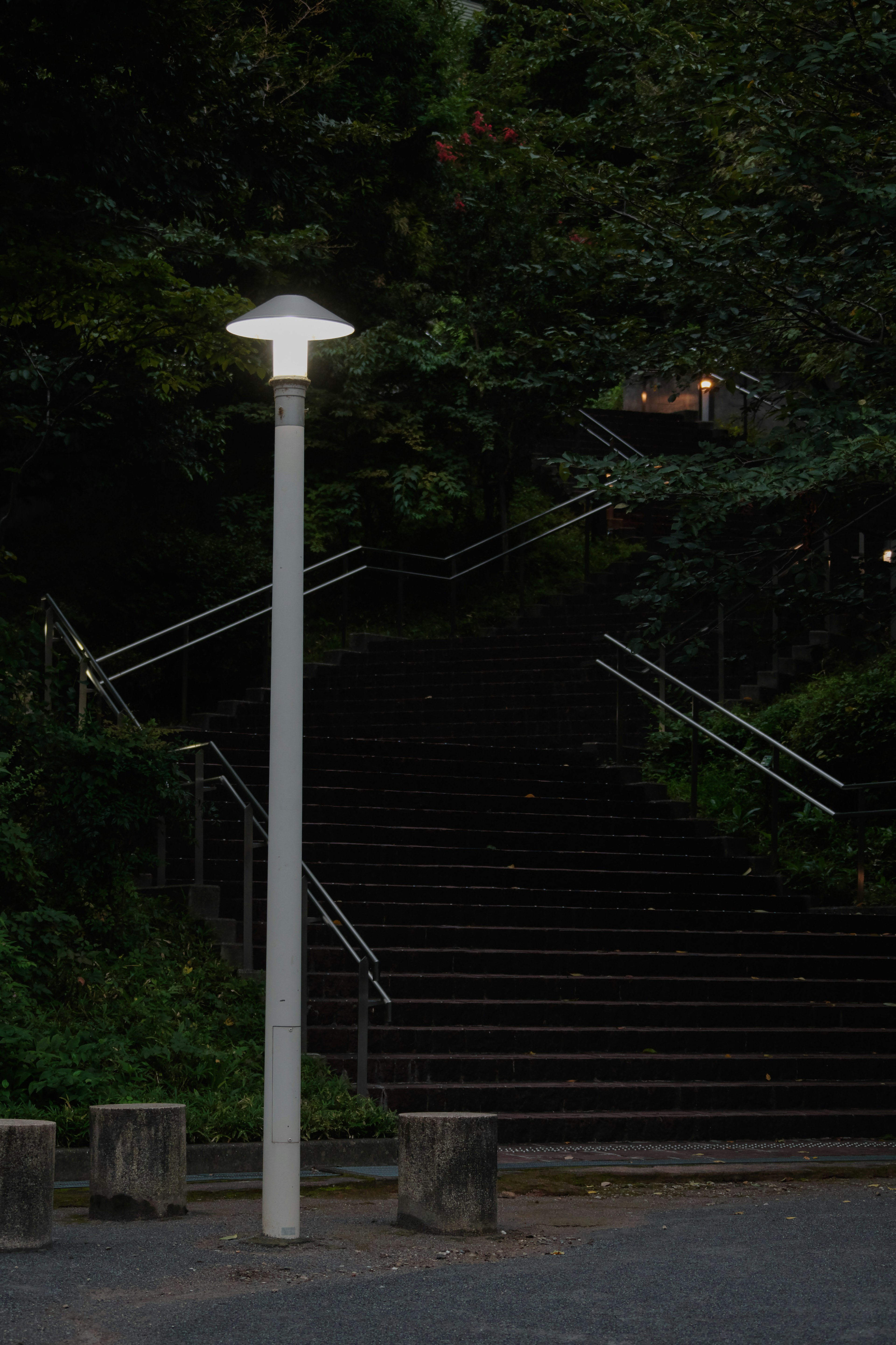 Lampadaire blanc devant des escaliers entourés d'arbres verts