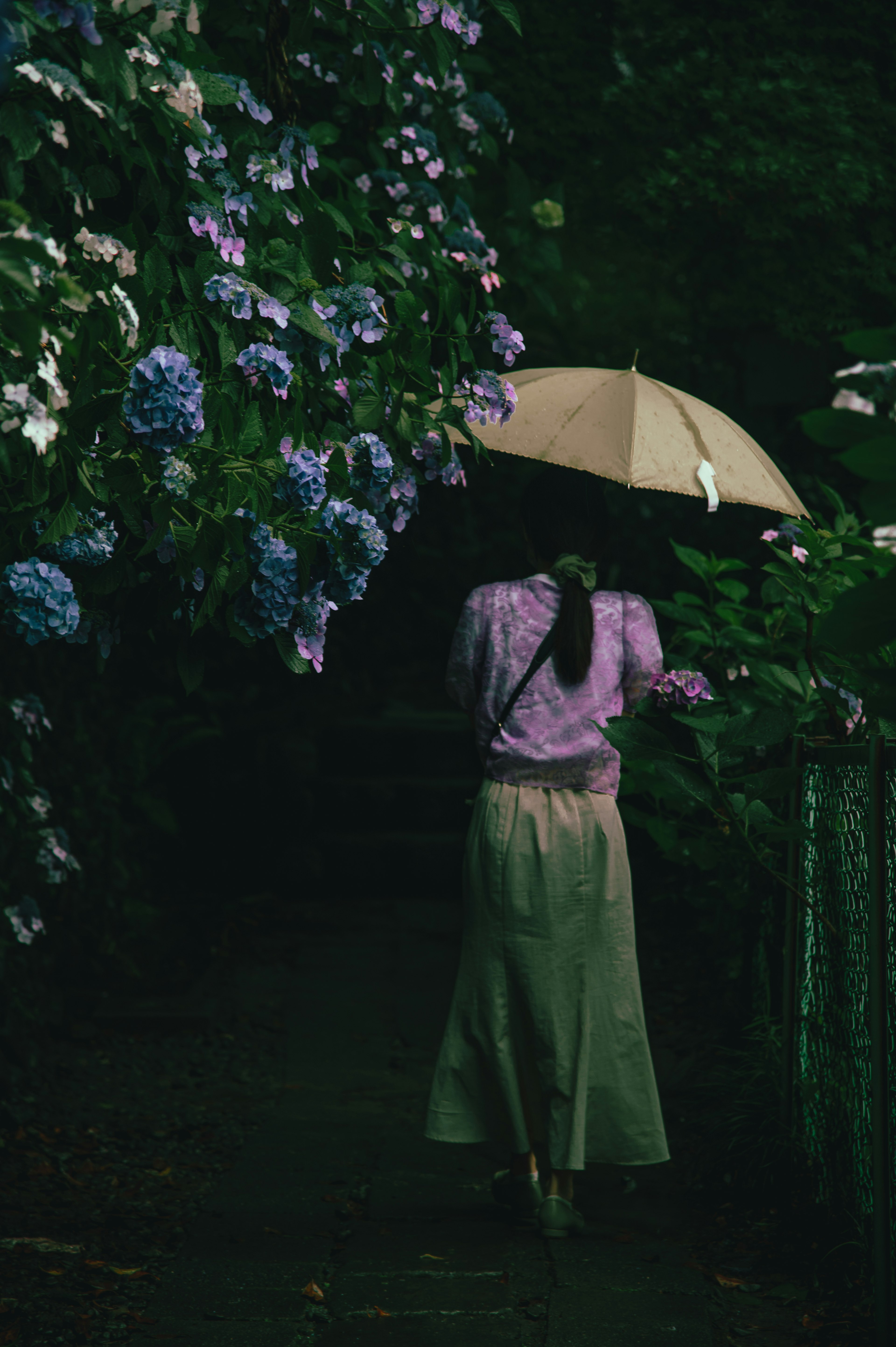 紫色のトップとスカートを着た女性が傘を持ち、紫陽花に囲まれた小道を歩いている風景