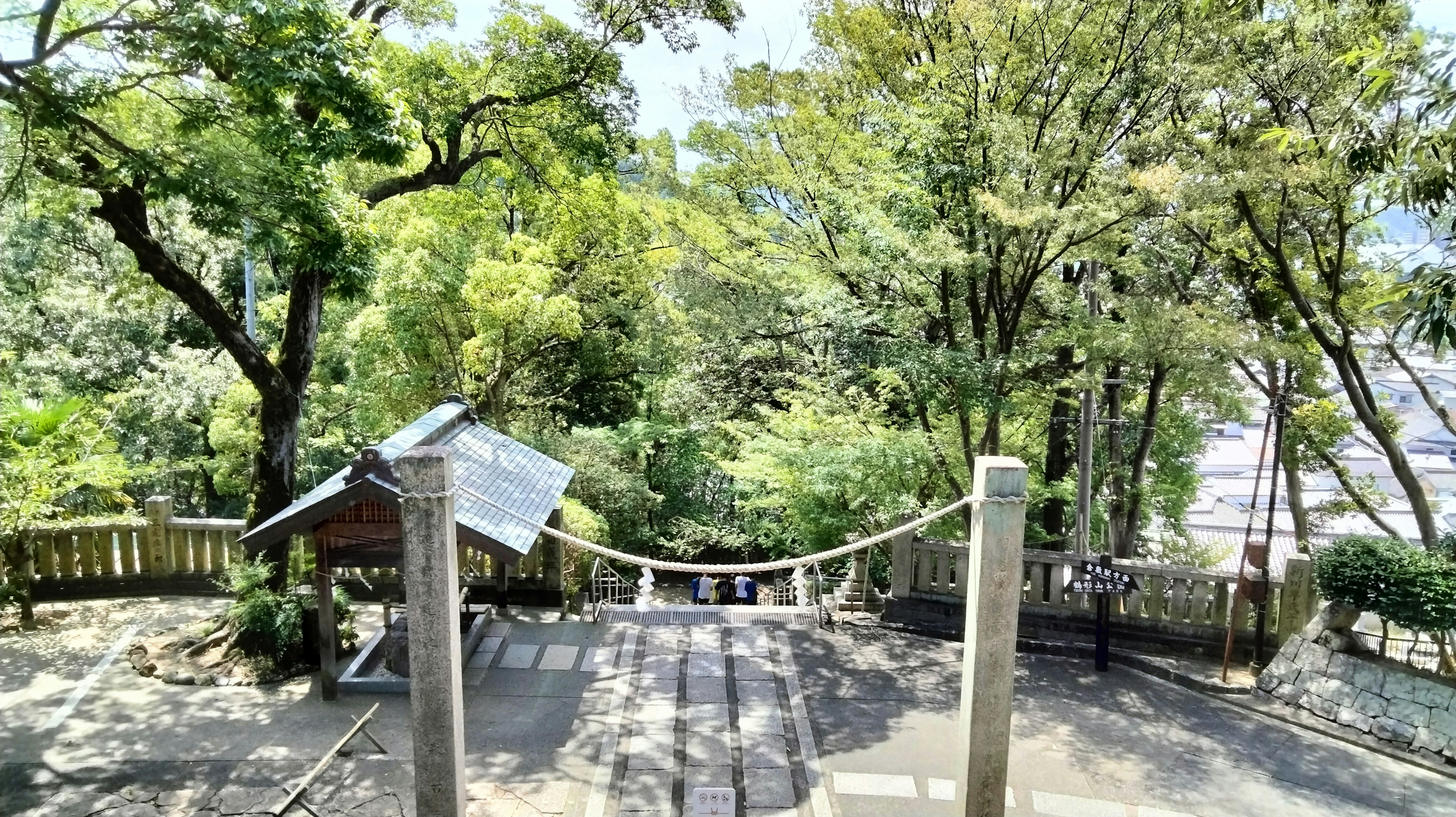 View from the top of the stairs showing a shrine area with lush greenery and a sacred rope