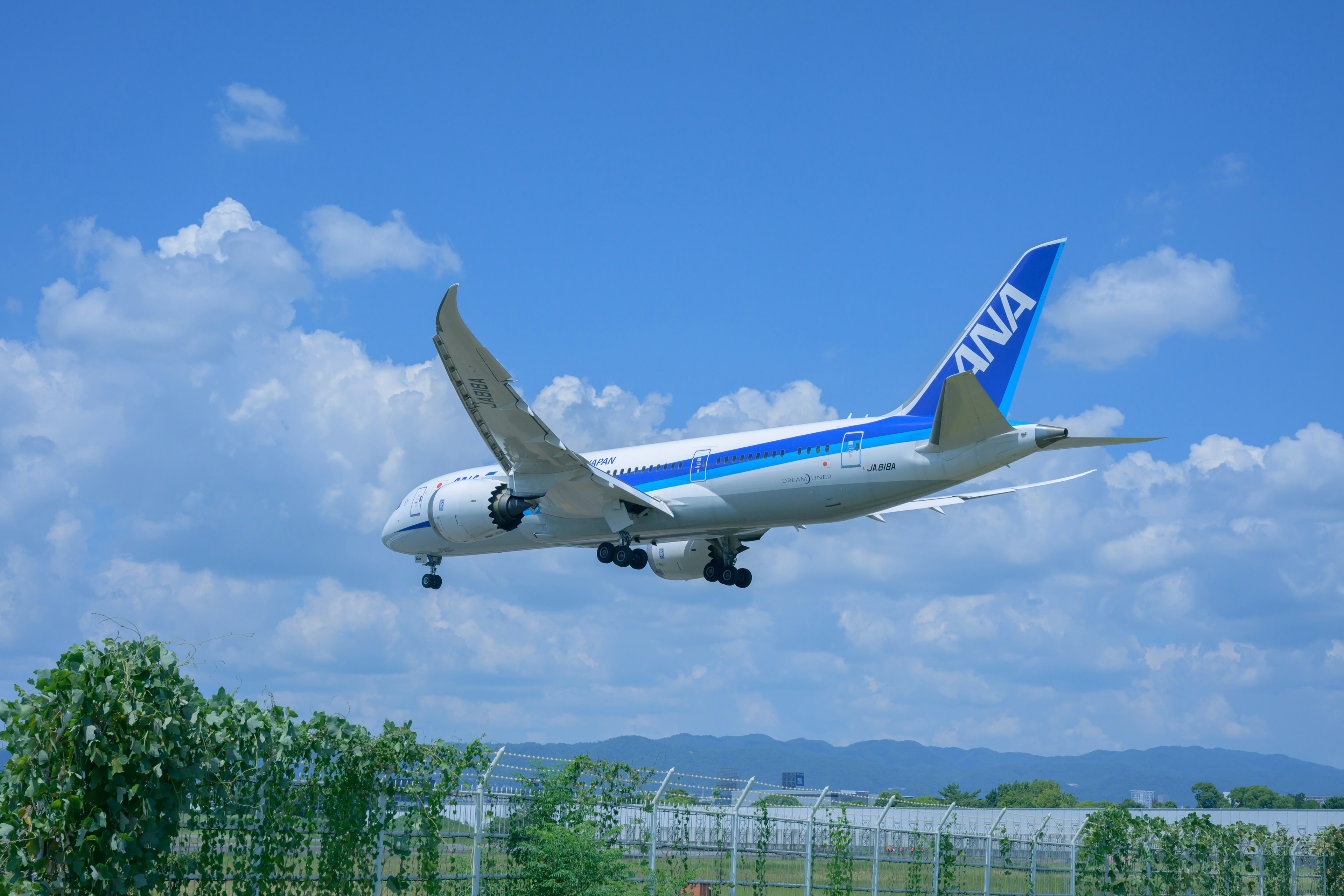 Avión de pasajeros de ANA volando contra un cielo azul