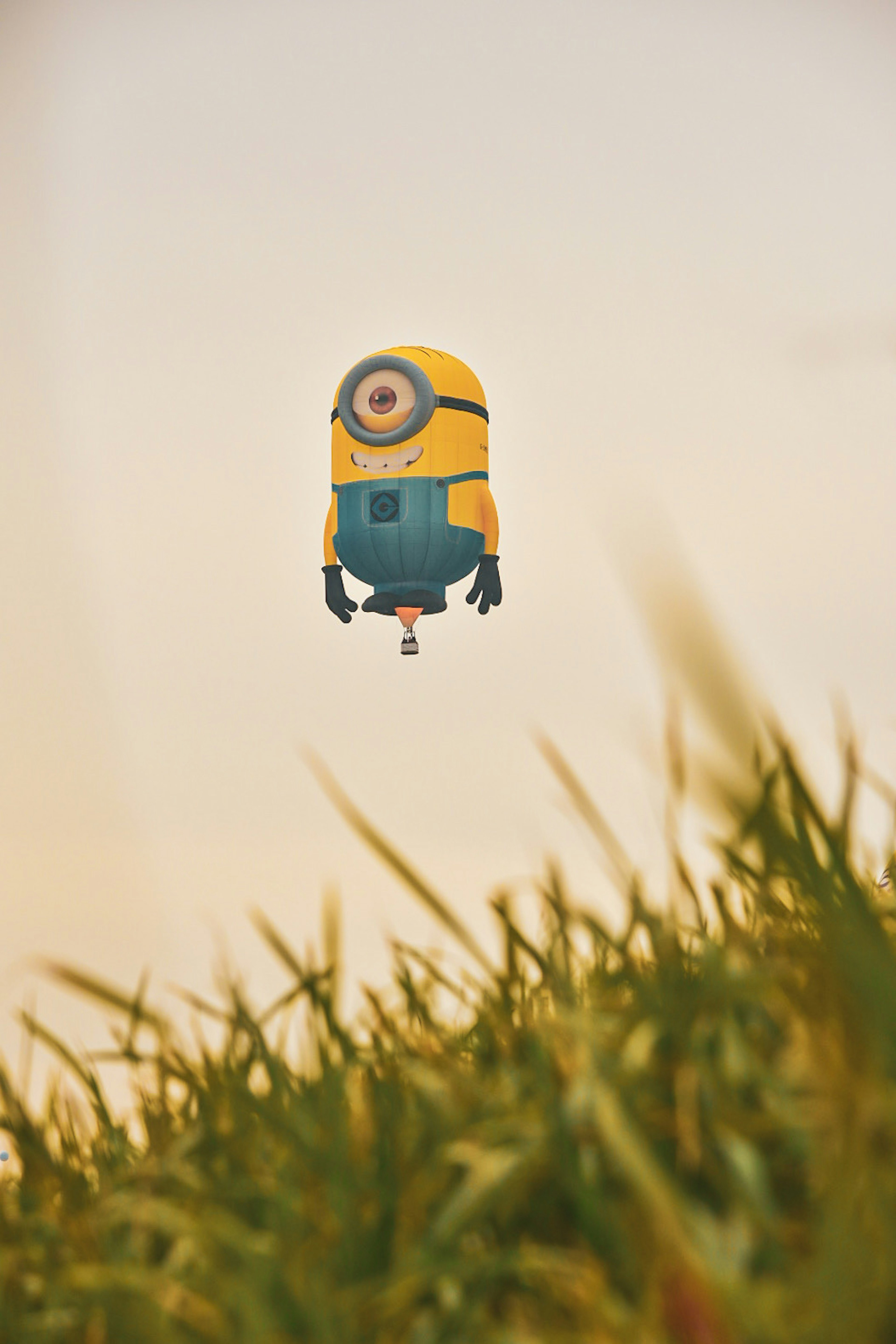 Minion character floating above grass