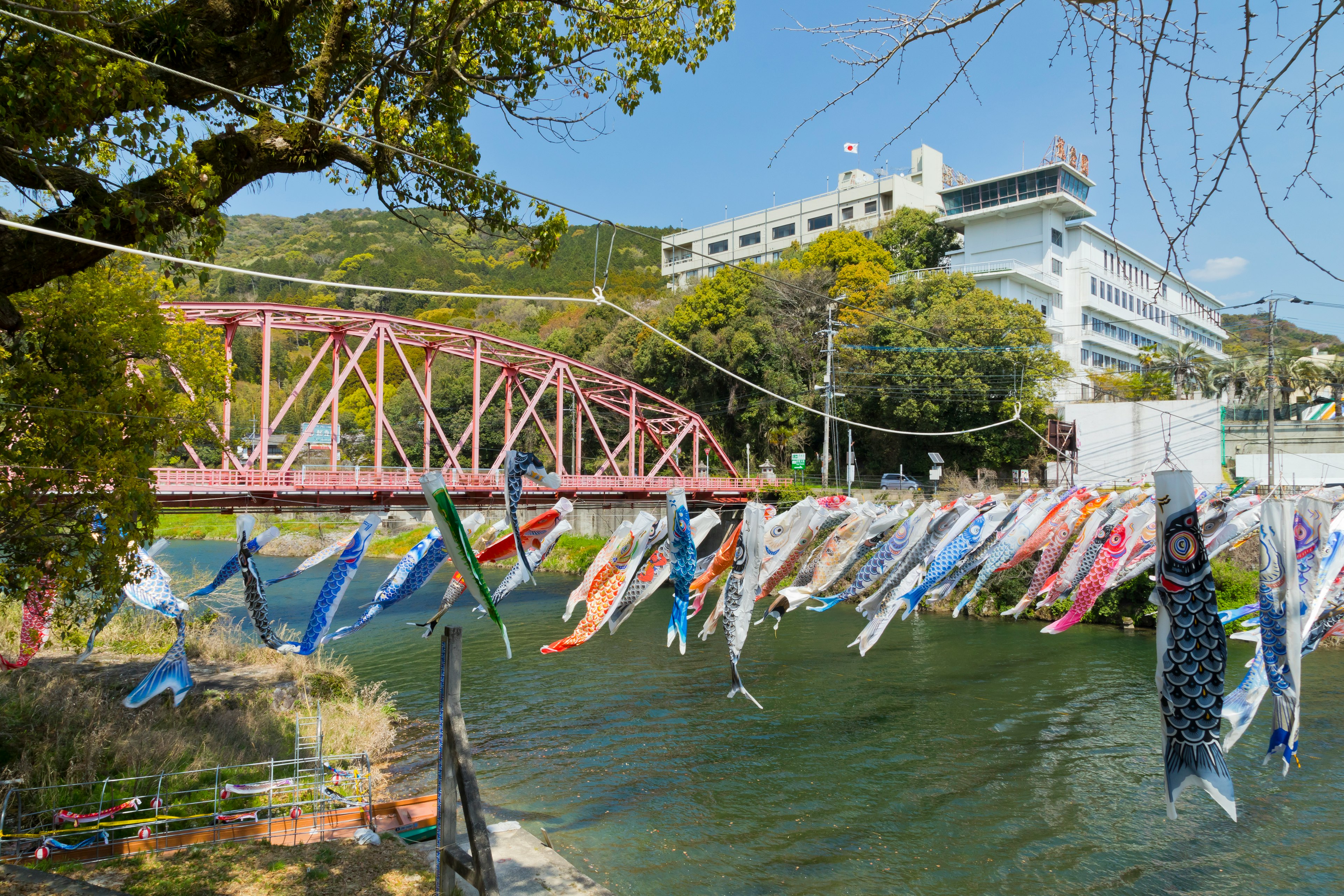 Koinobori appesi sopra un fiume con un ponte rosso sullo sfondo