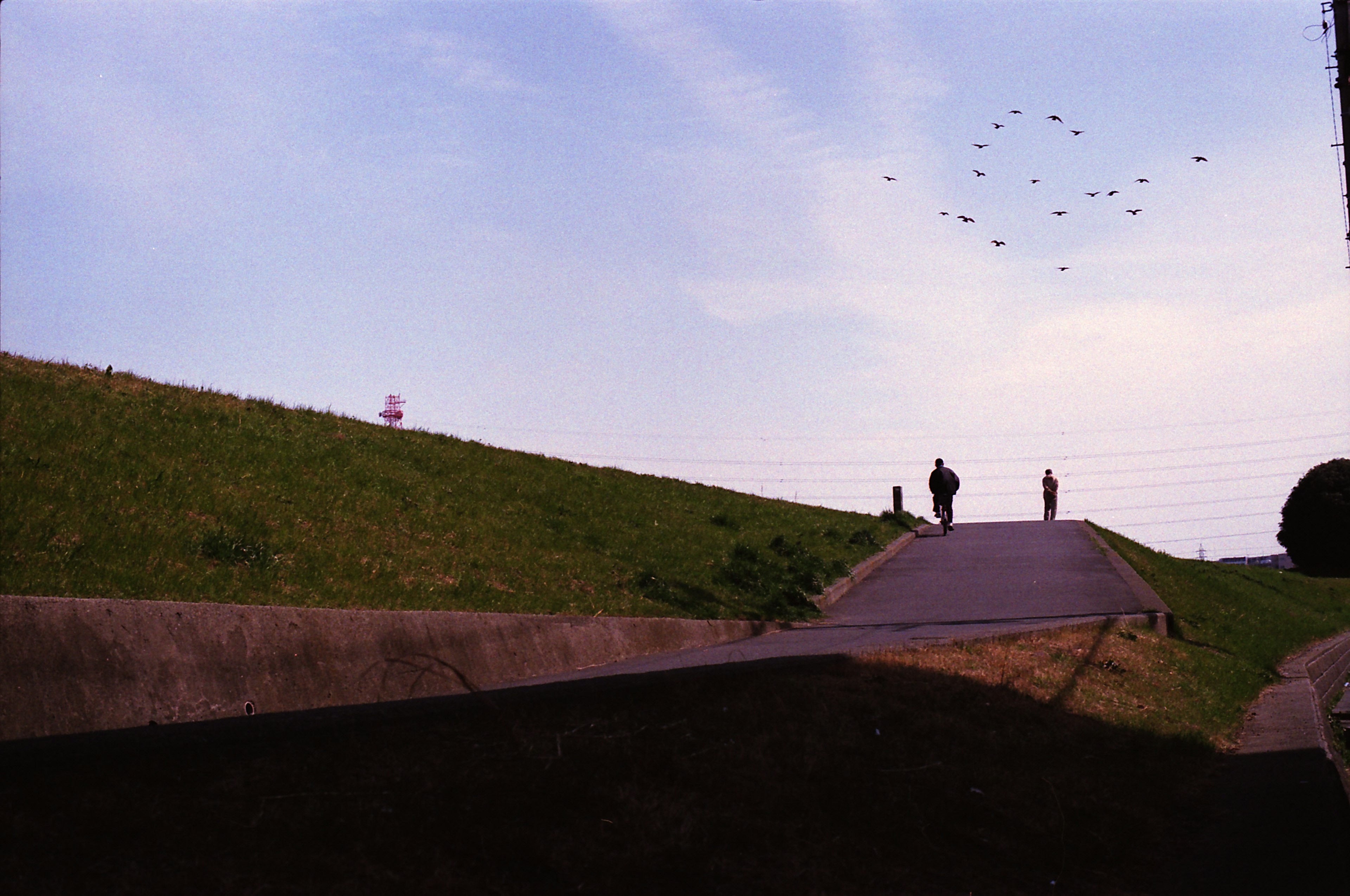 Silhouettes of people on a green hill with birds in the blue sky