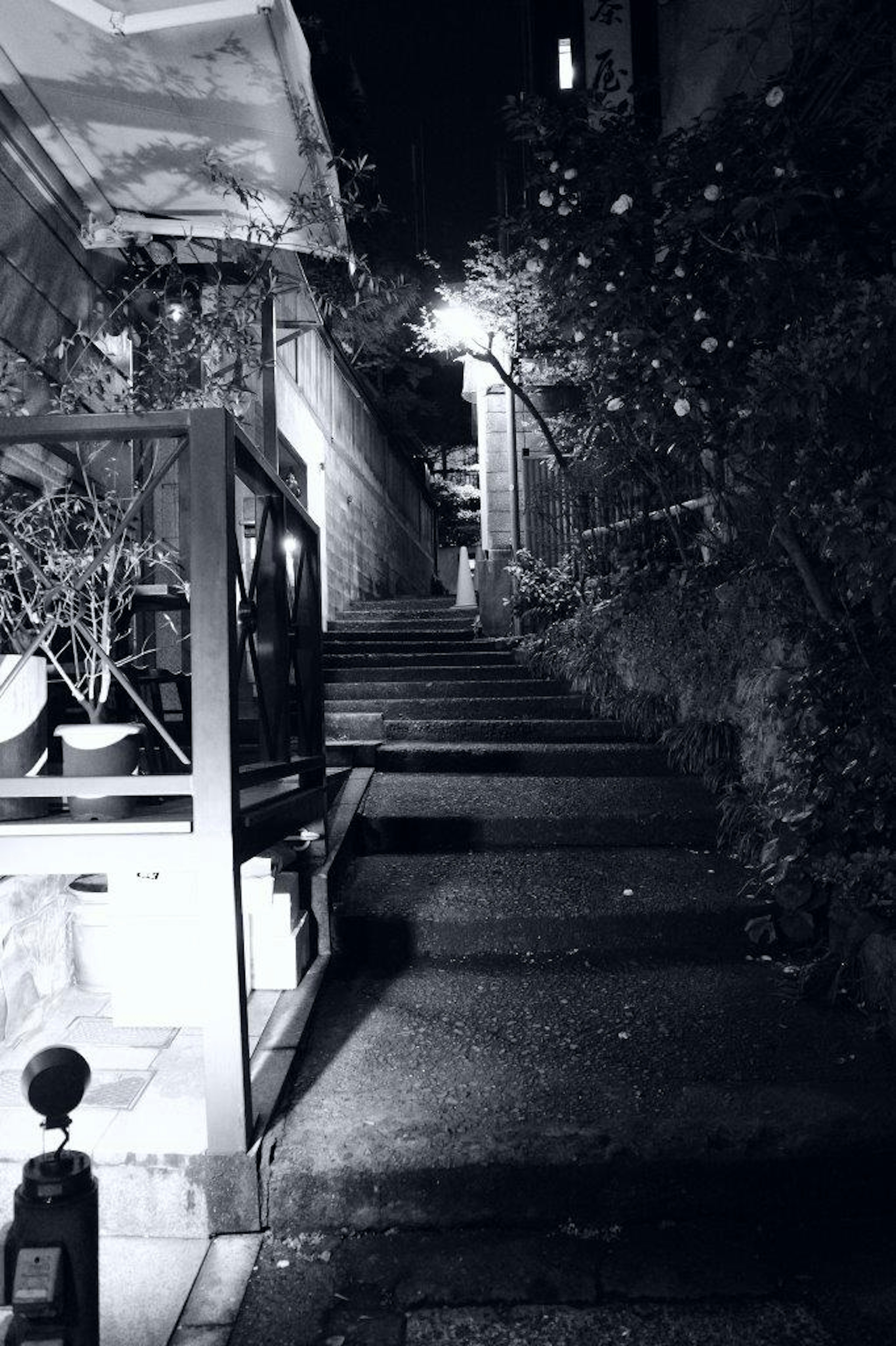 Calle tranquila con escaleras y plantas por la noche