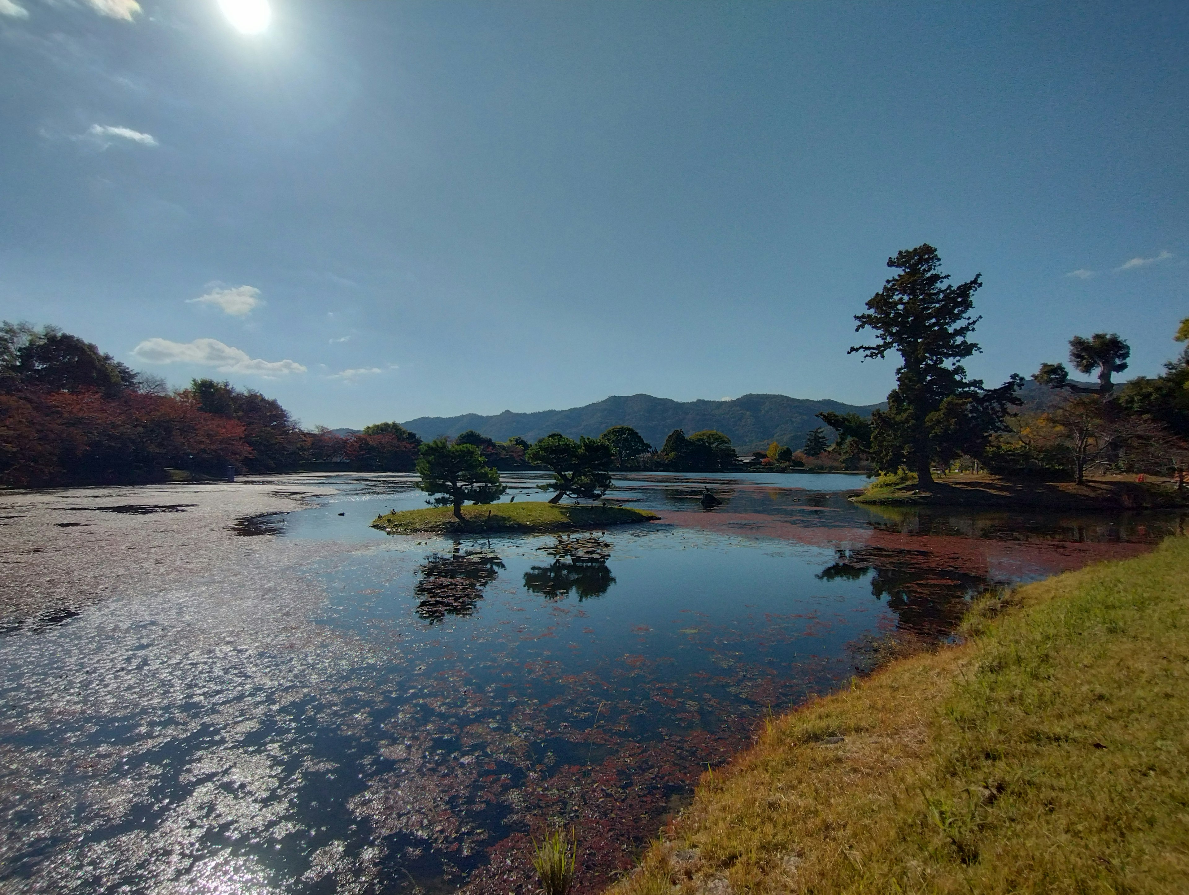 Scenic view of a lake with surrounding trees under a blue sky