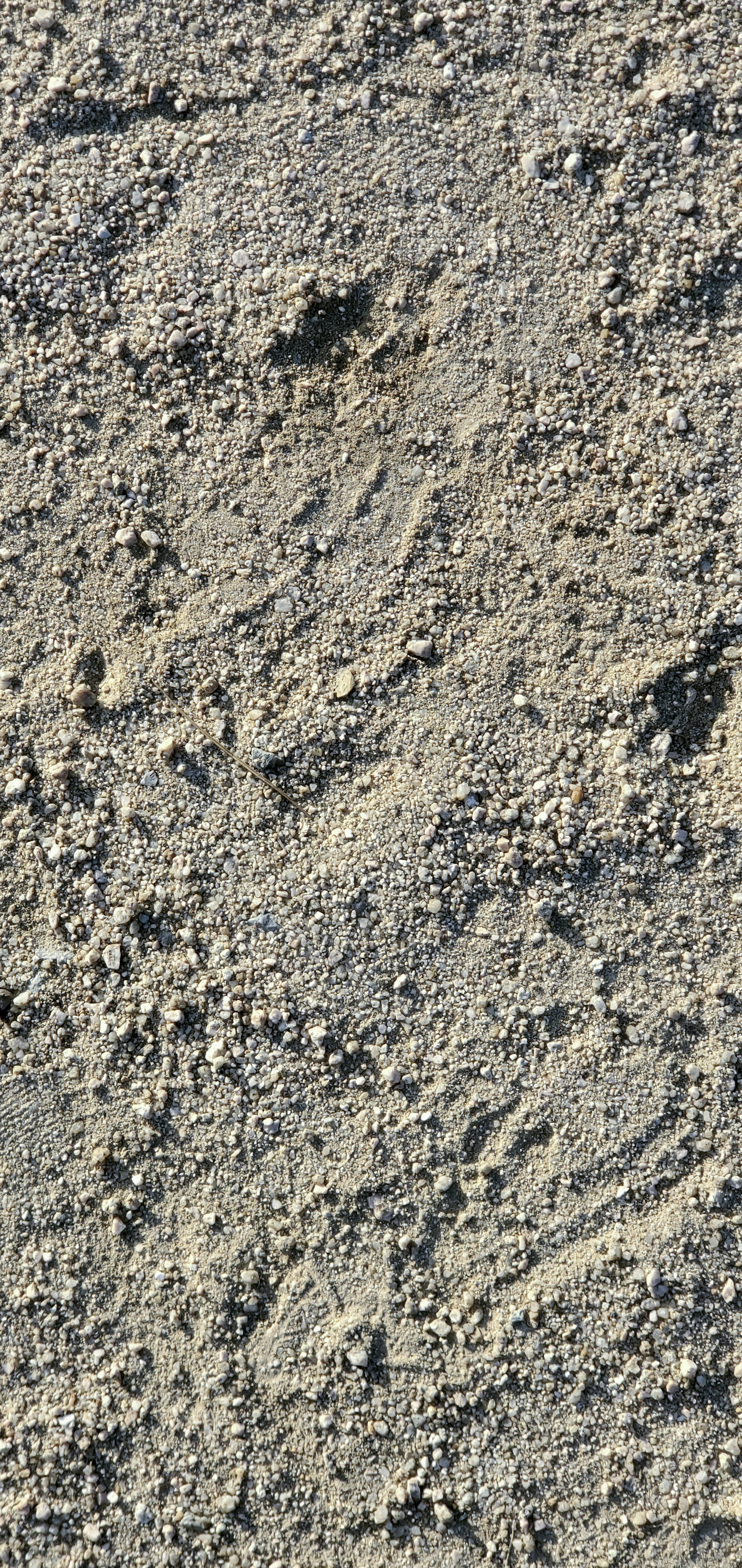 Surface montrant une texture de sable gris fin