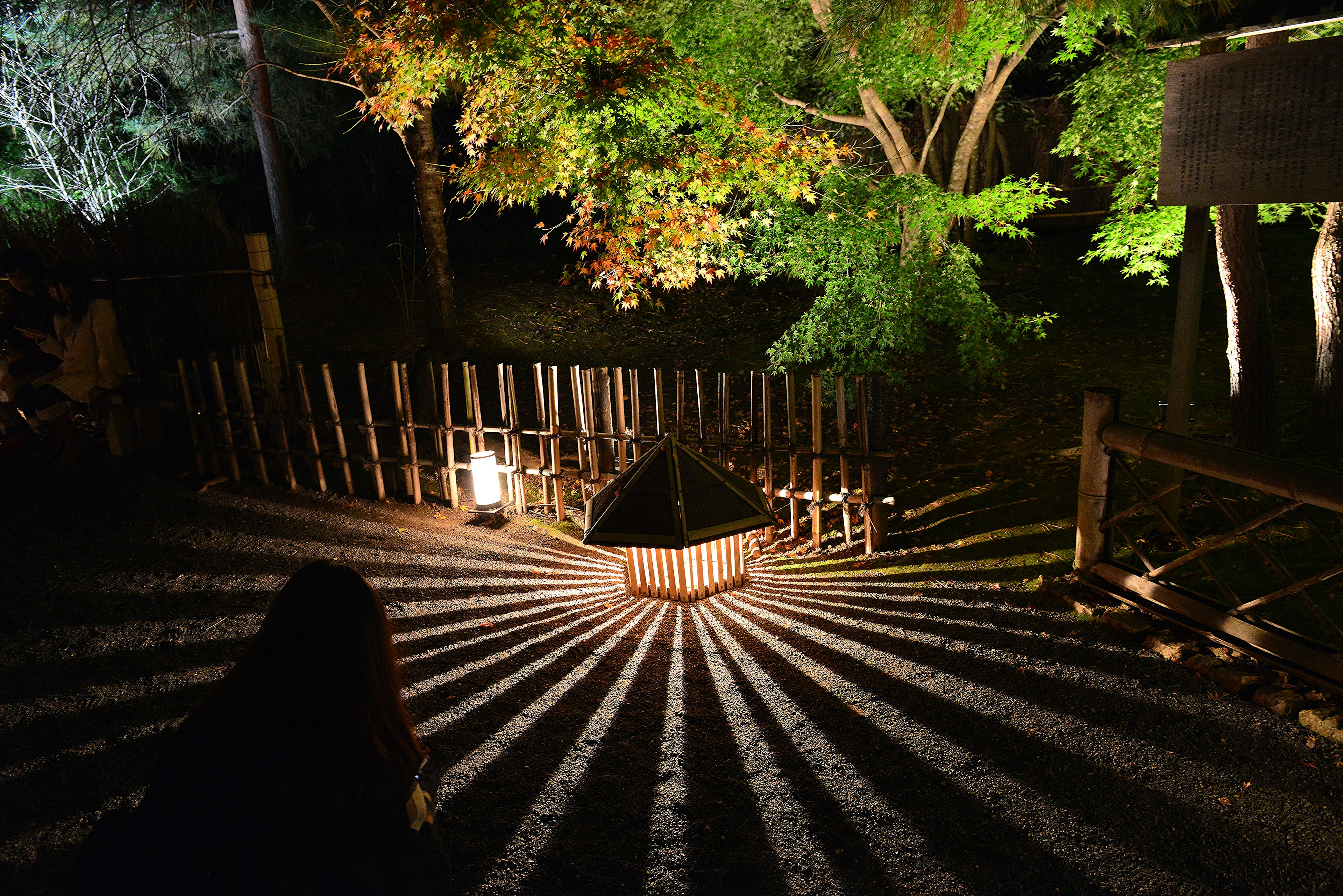 Motifs circulaires de lumière et d'ombre illuminés dans un jardin la nuit