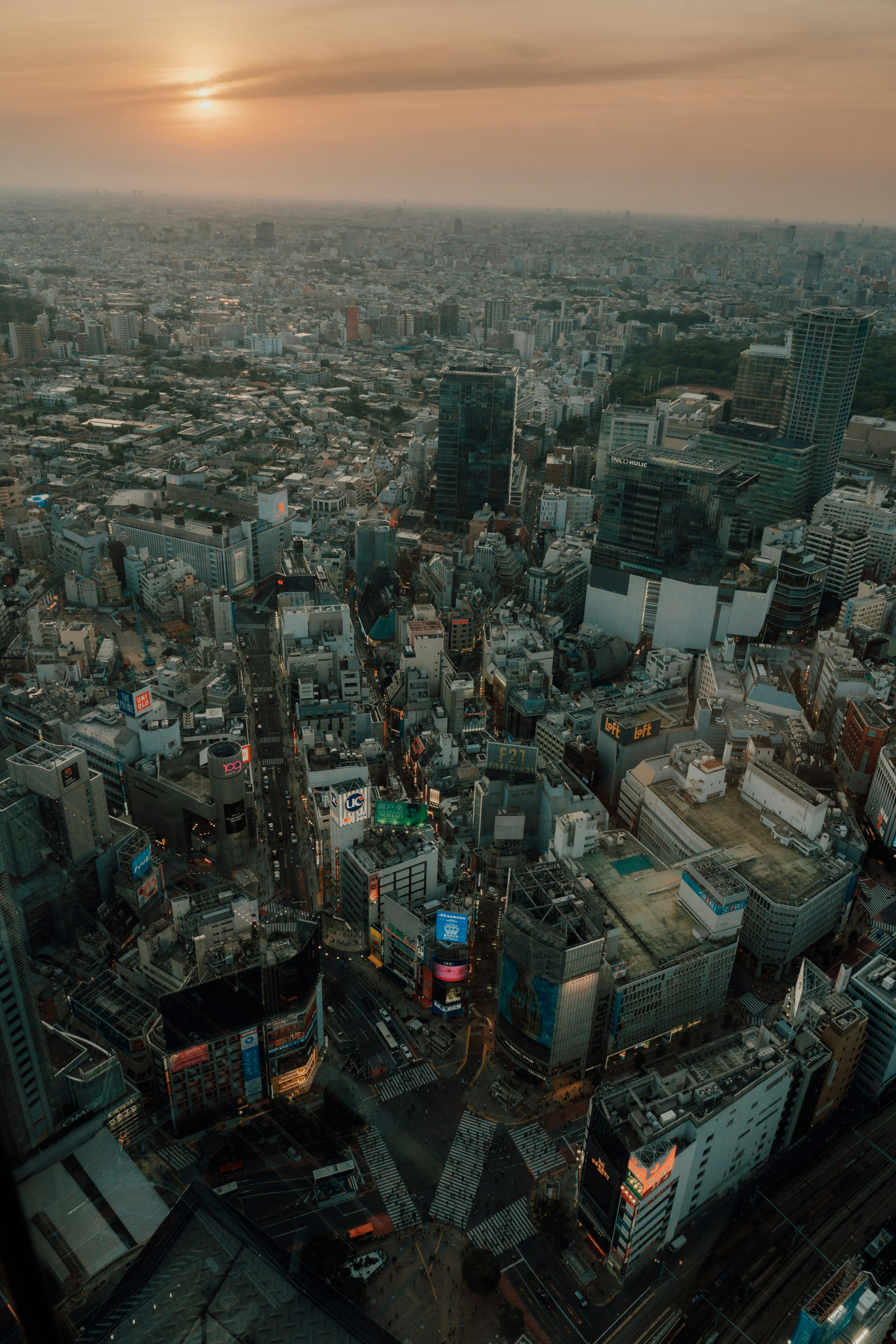 Vista aérea de los rascacielos de Tokio al atardecer