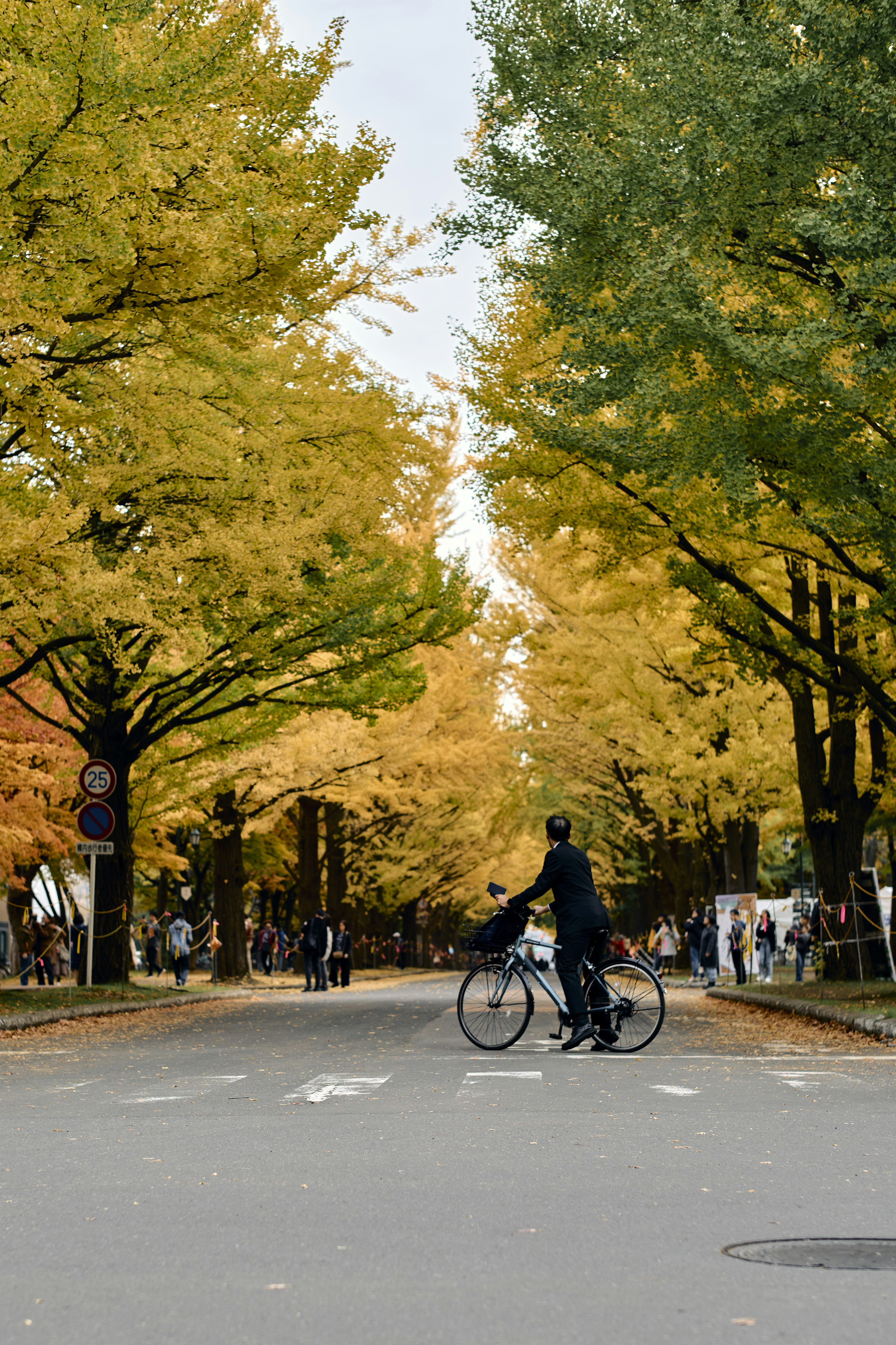 秋の風景の中で自転車に乗る人物がいる道