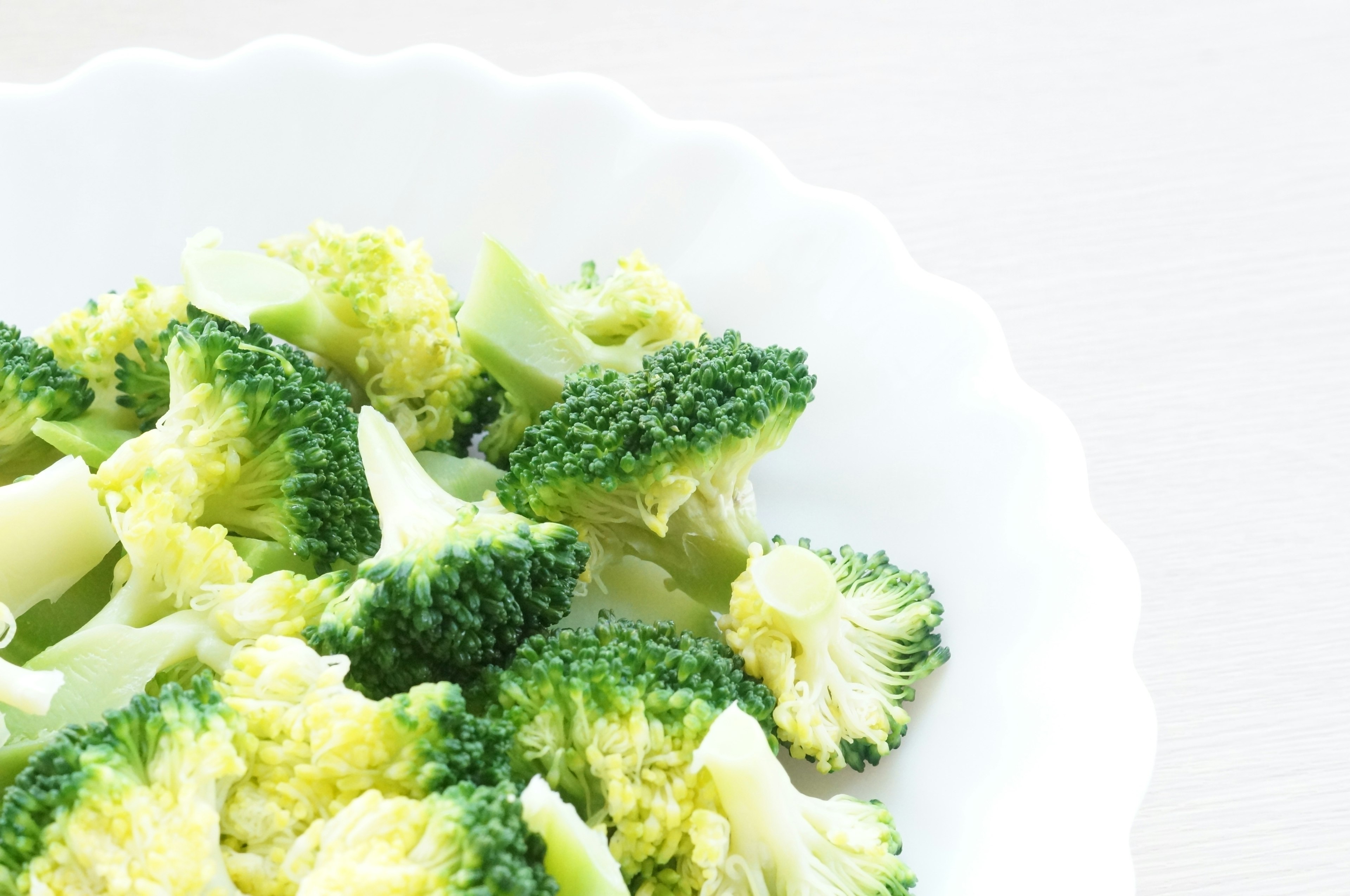 Fresh broccoli arranged on a white plate