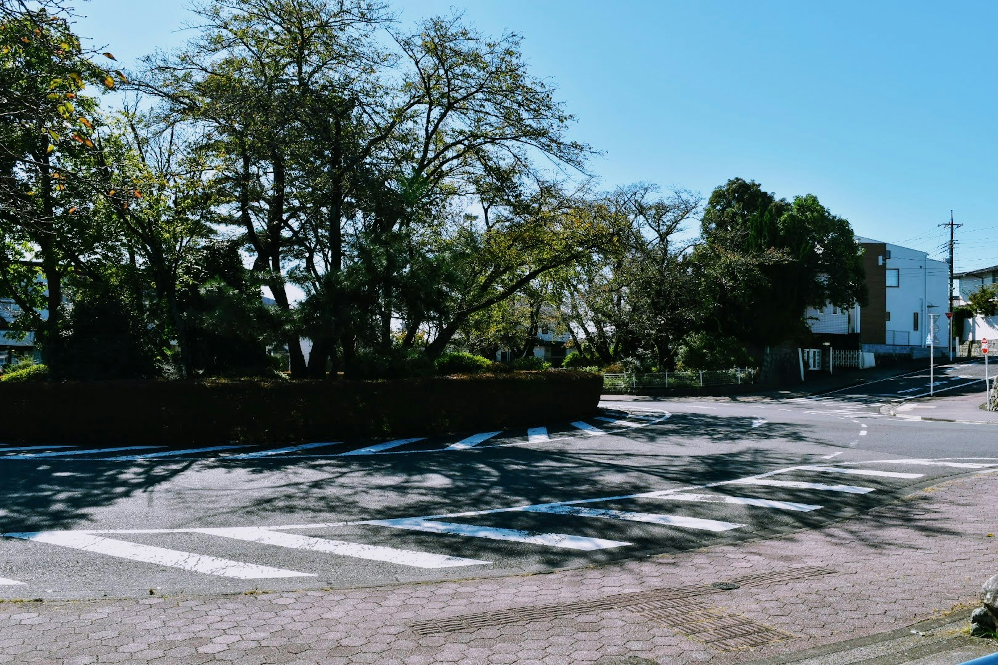 Wide parking area with large trees under a clear blue sky