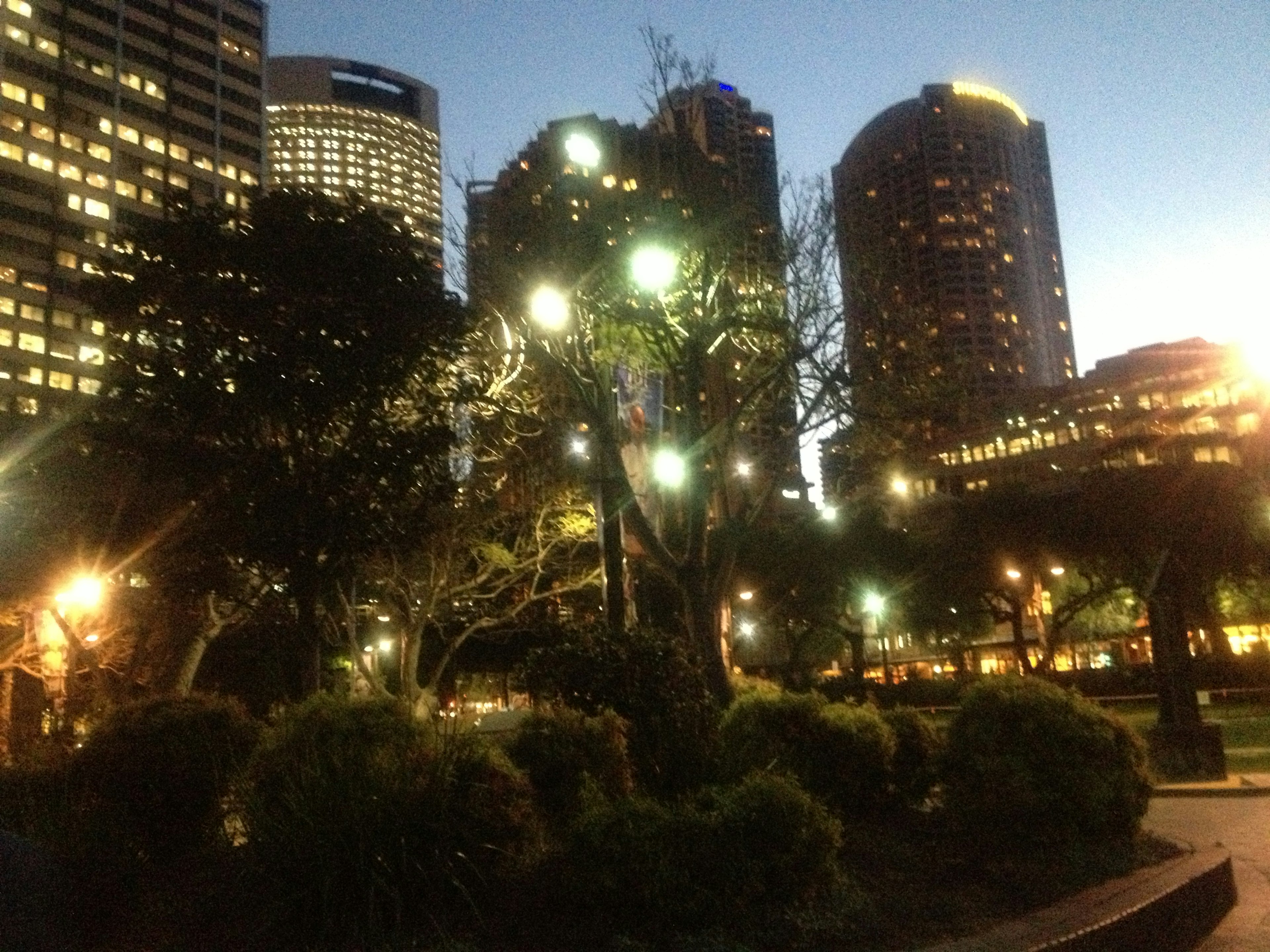 Night view of a park with trees and skyscrapers