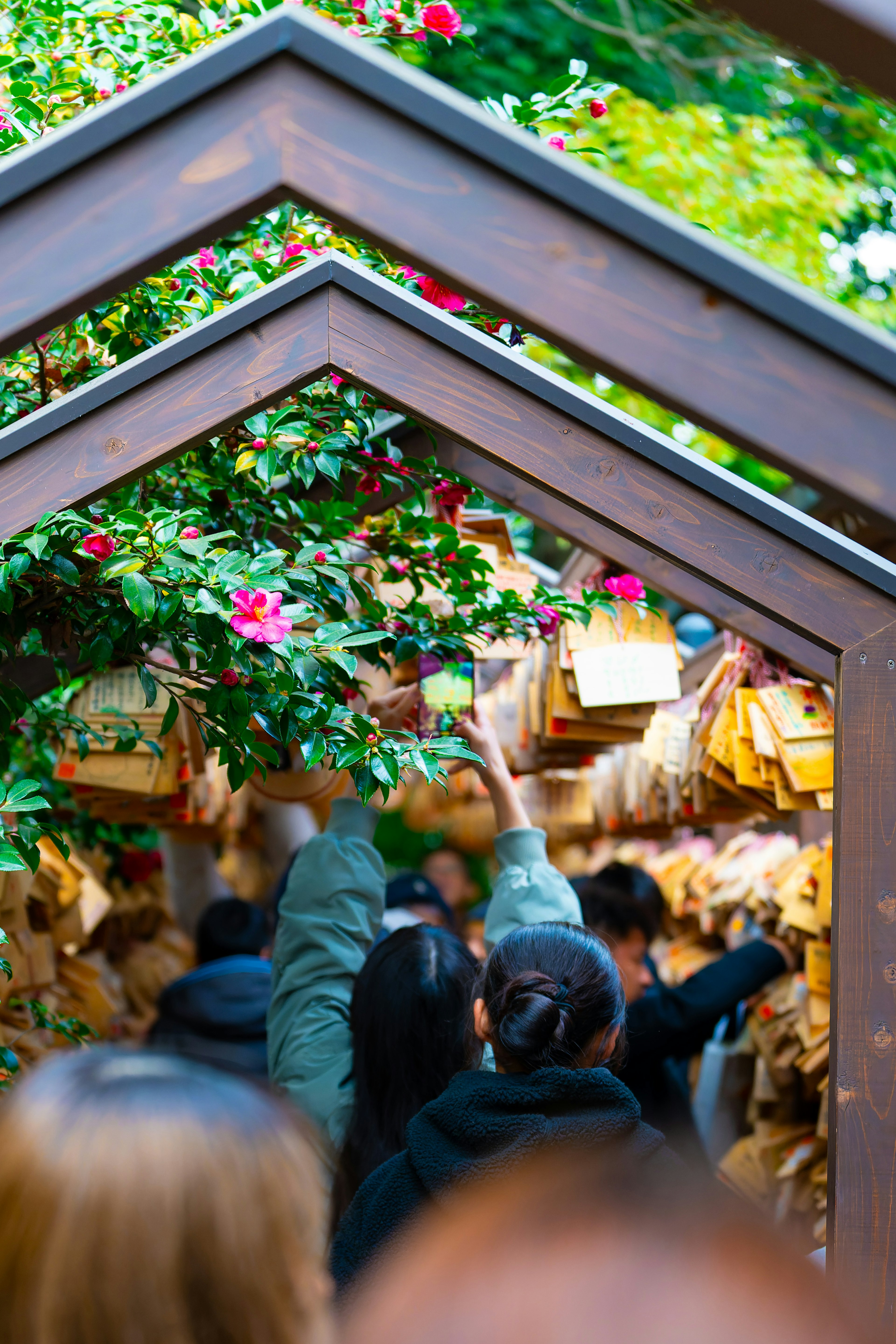 人々が願い事を書いた木の板を吊るしている風景 植物と花が周囲を彩る