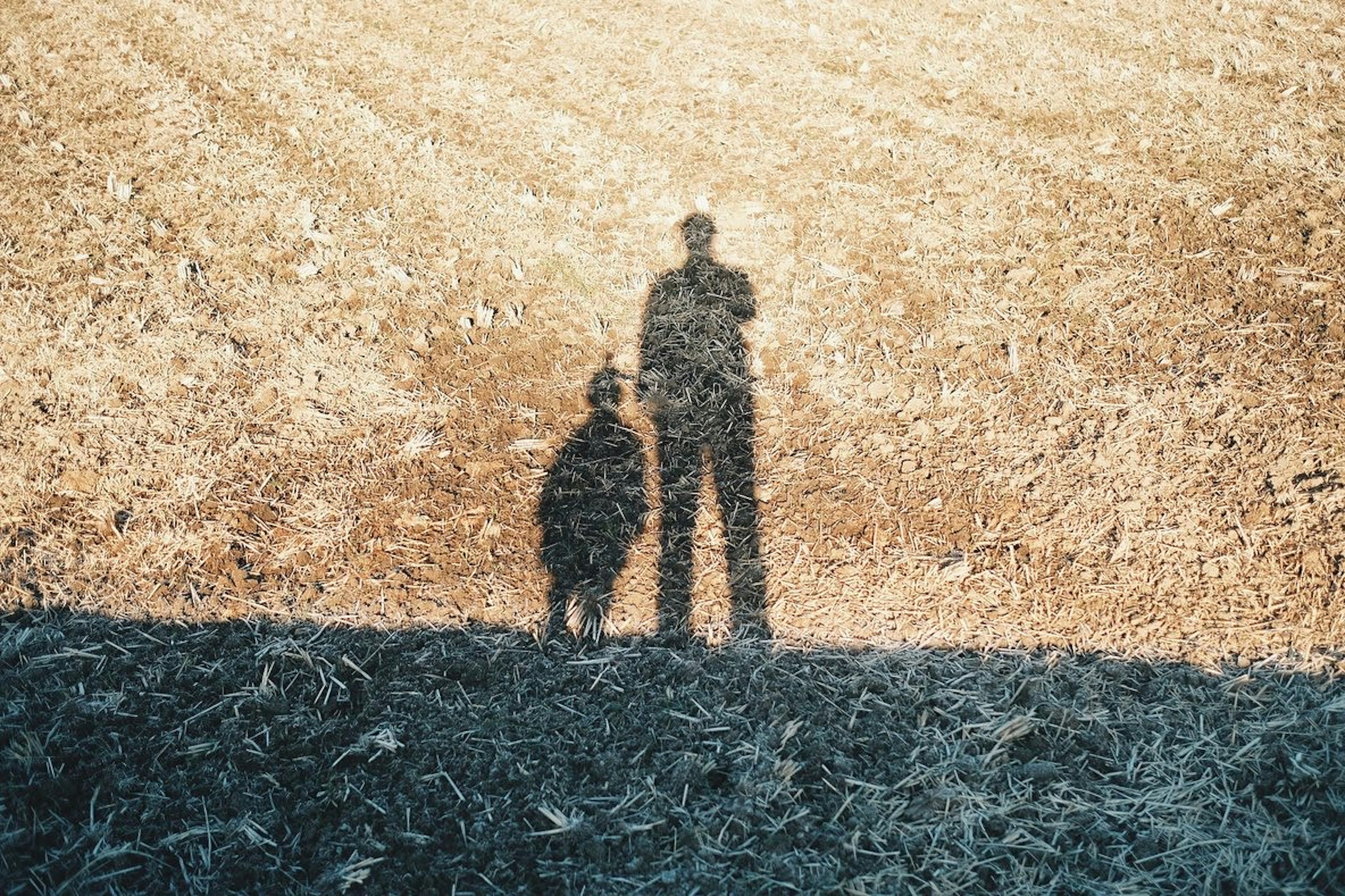 Silhouette d'un adulte et d'un enfant debout dans un champ