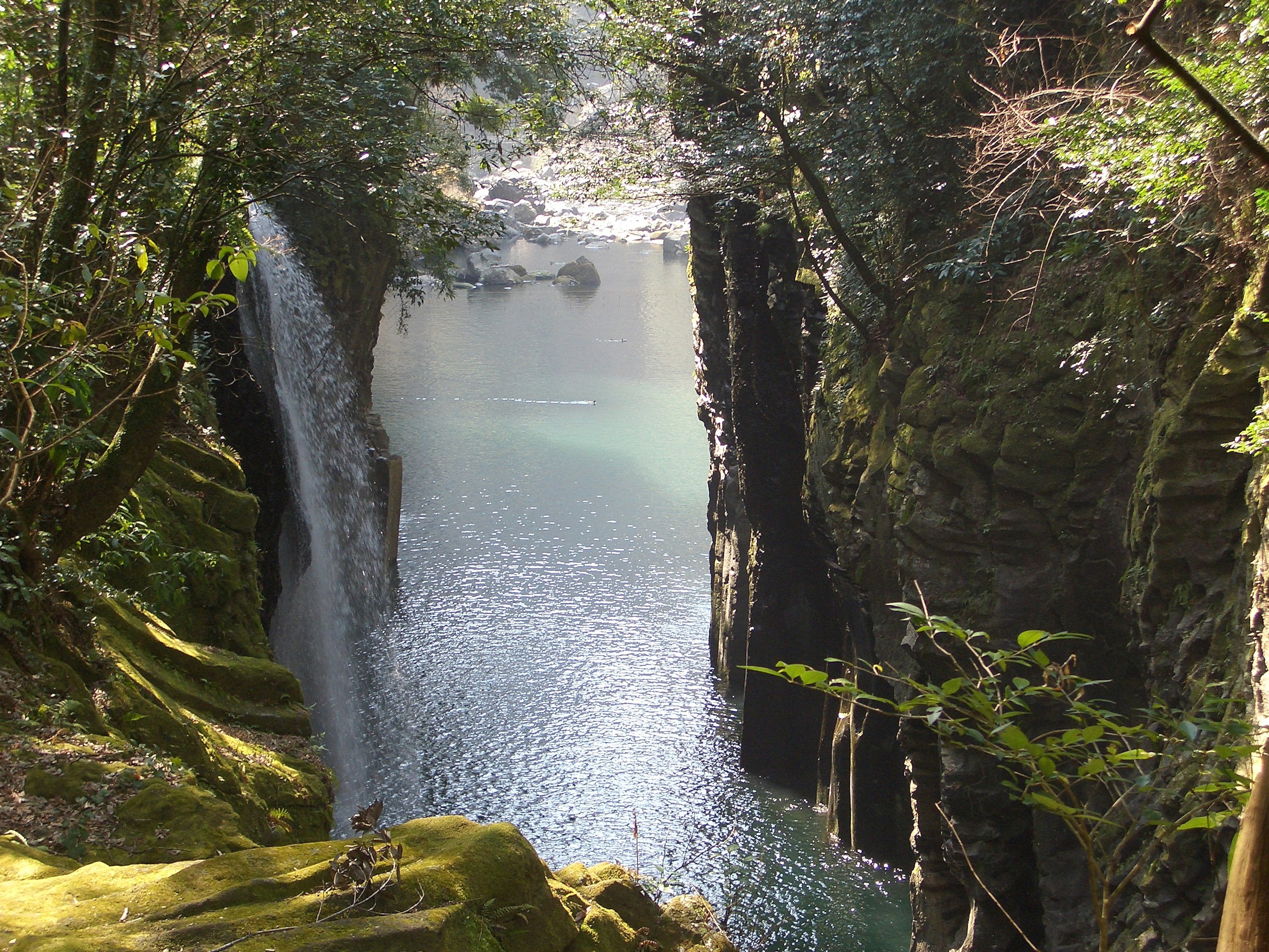 A beautiful waterfall cascading into a serene gorge surrounded by lush greenery