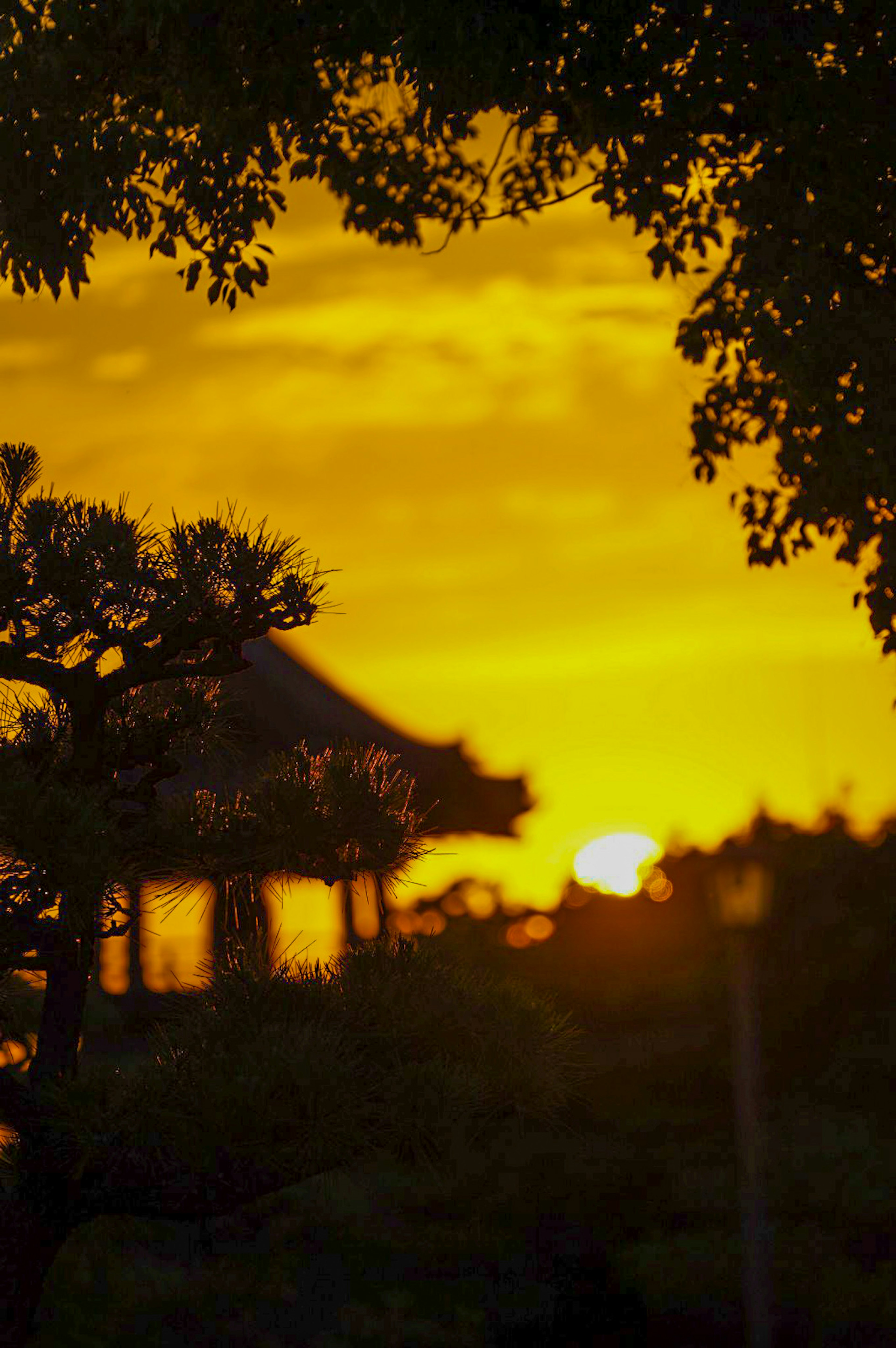 夕日を背景にした日本の伝統的な建物と木々