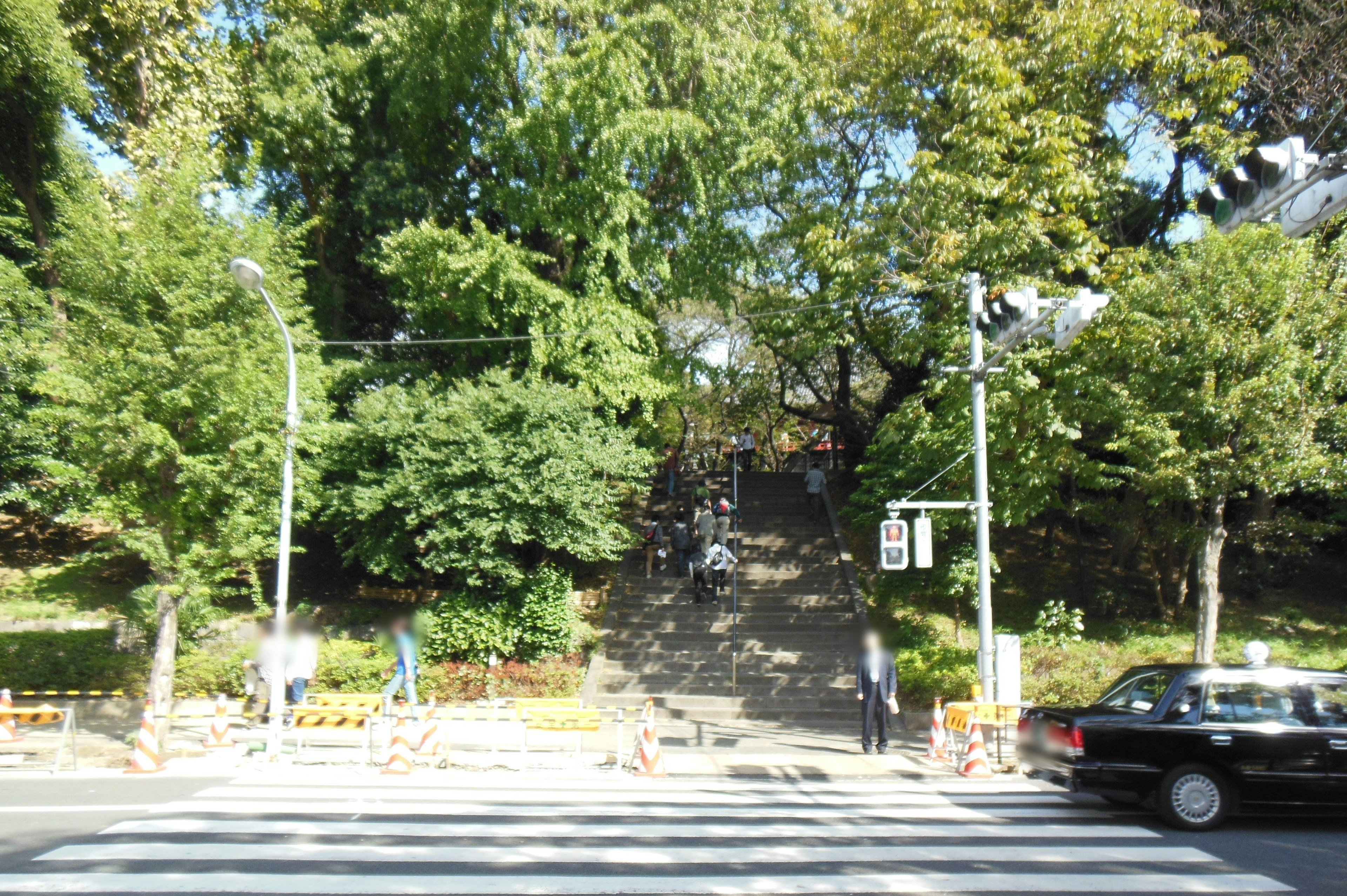 Scenic view of park stairs and crosswalk with lush greenery