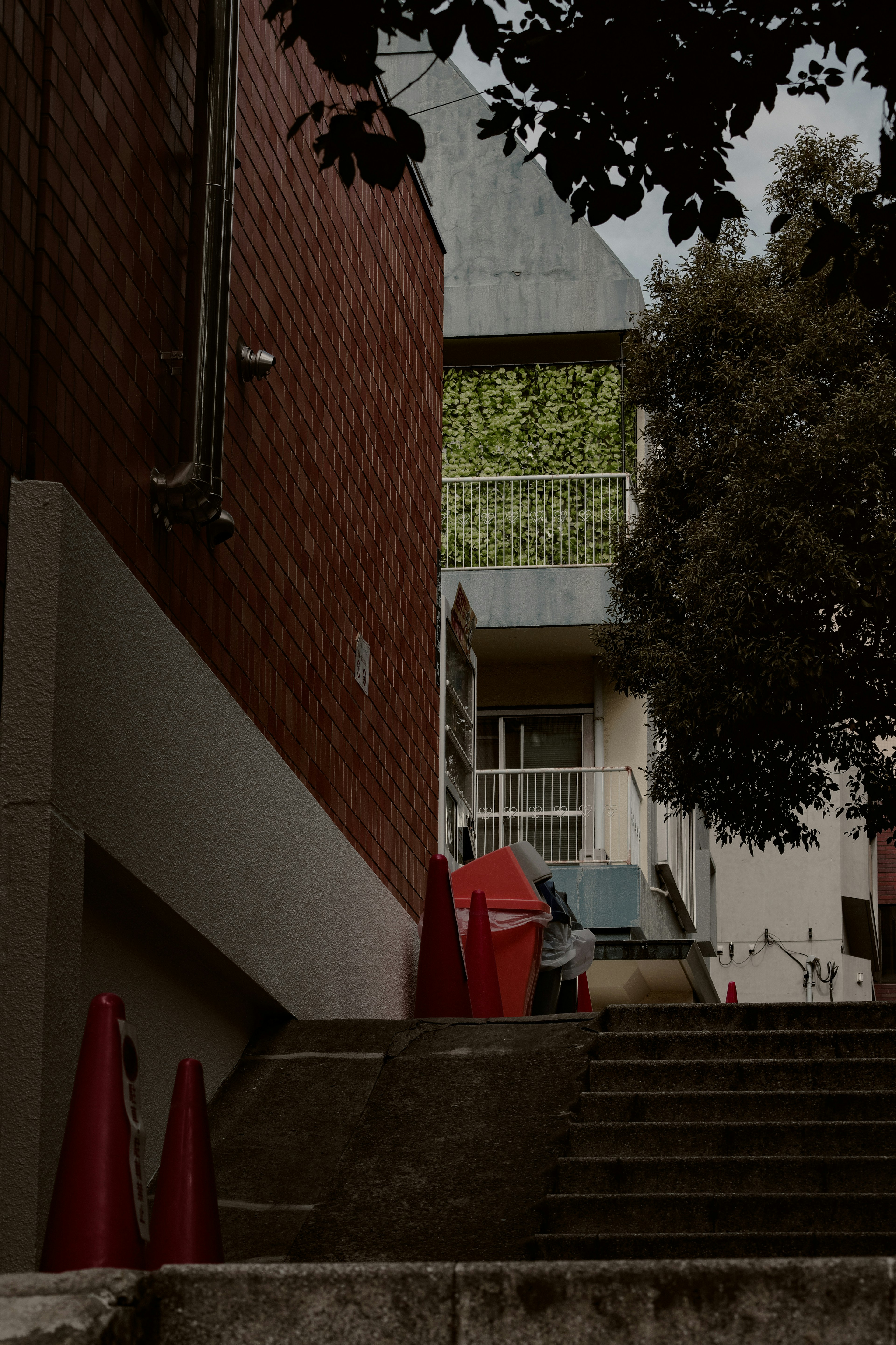 Vue extérieure d'un bâtiment avec des escaliers cônes rouges et plantes vertes