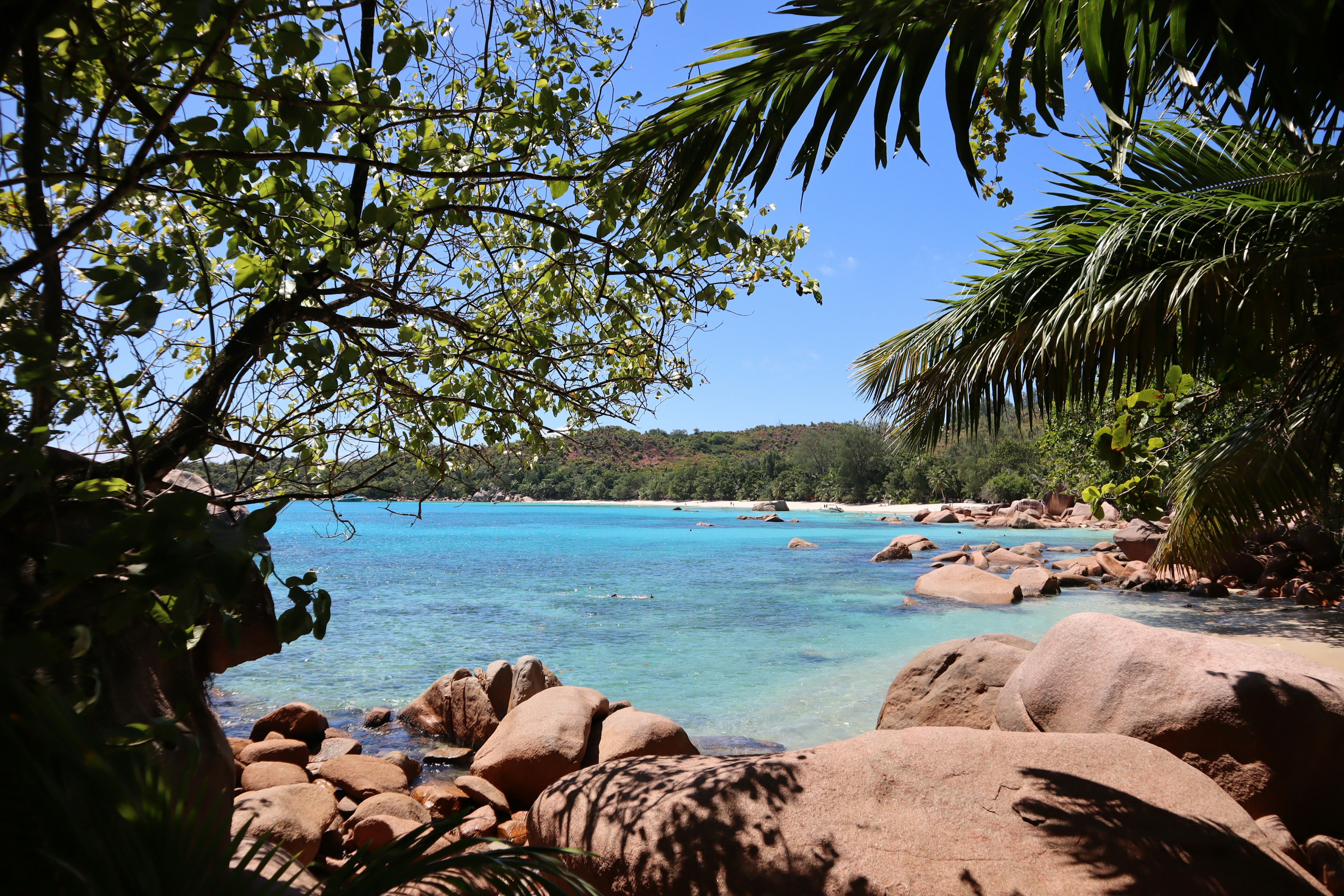 Vista de playa tropical rodeada de mar azul y rocas