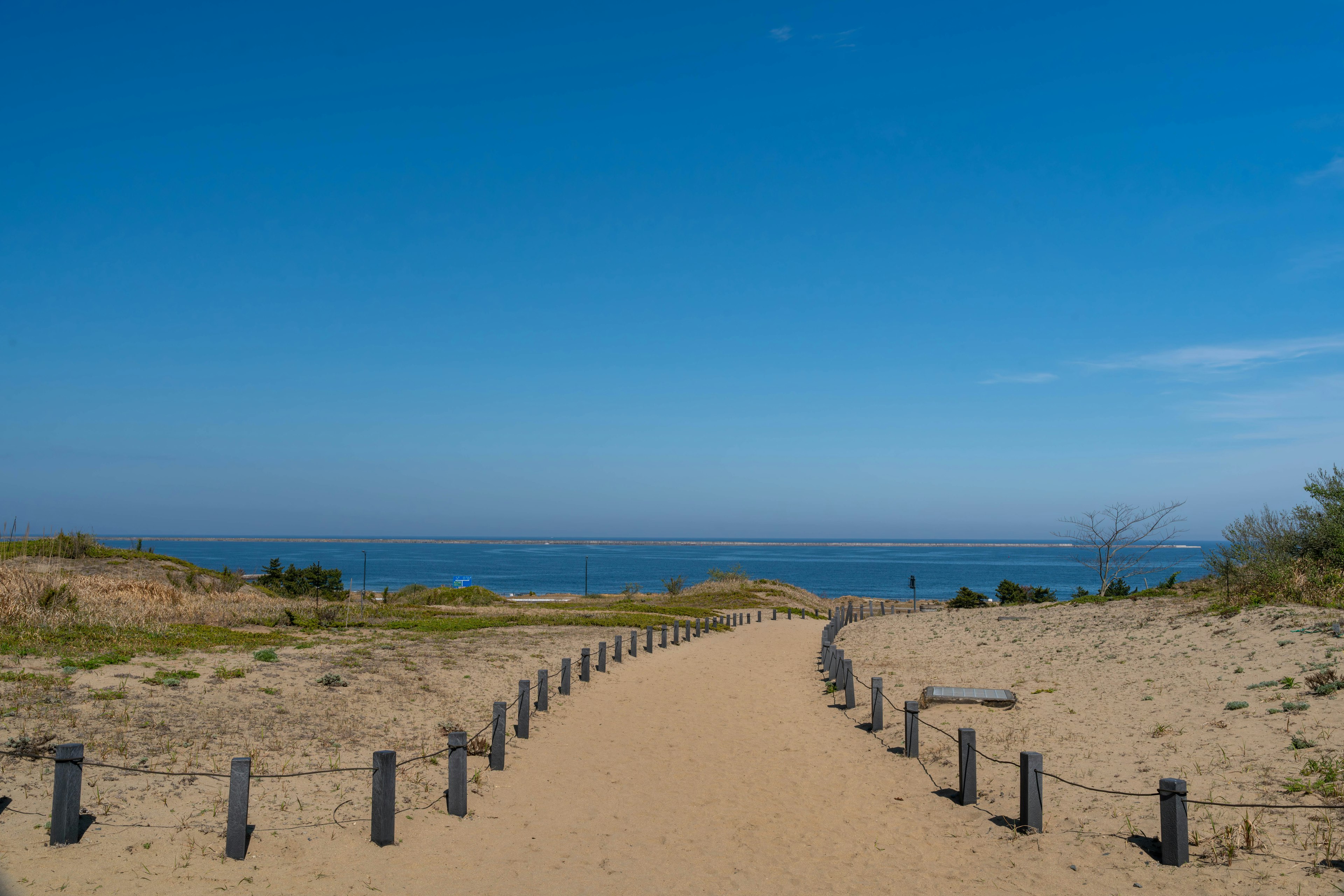 Ein Sandweg, der zum Ozean führt, mit Holzpfosten und einem klaren blauen Himmel