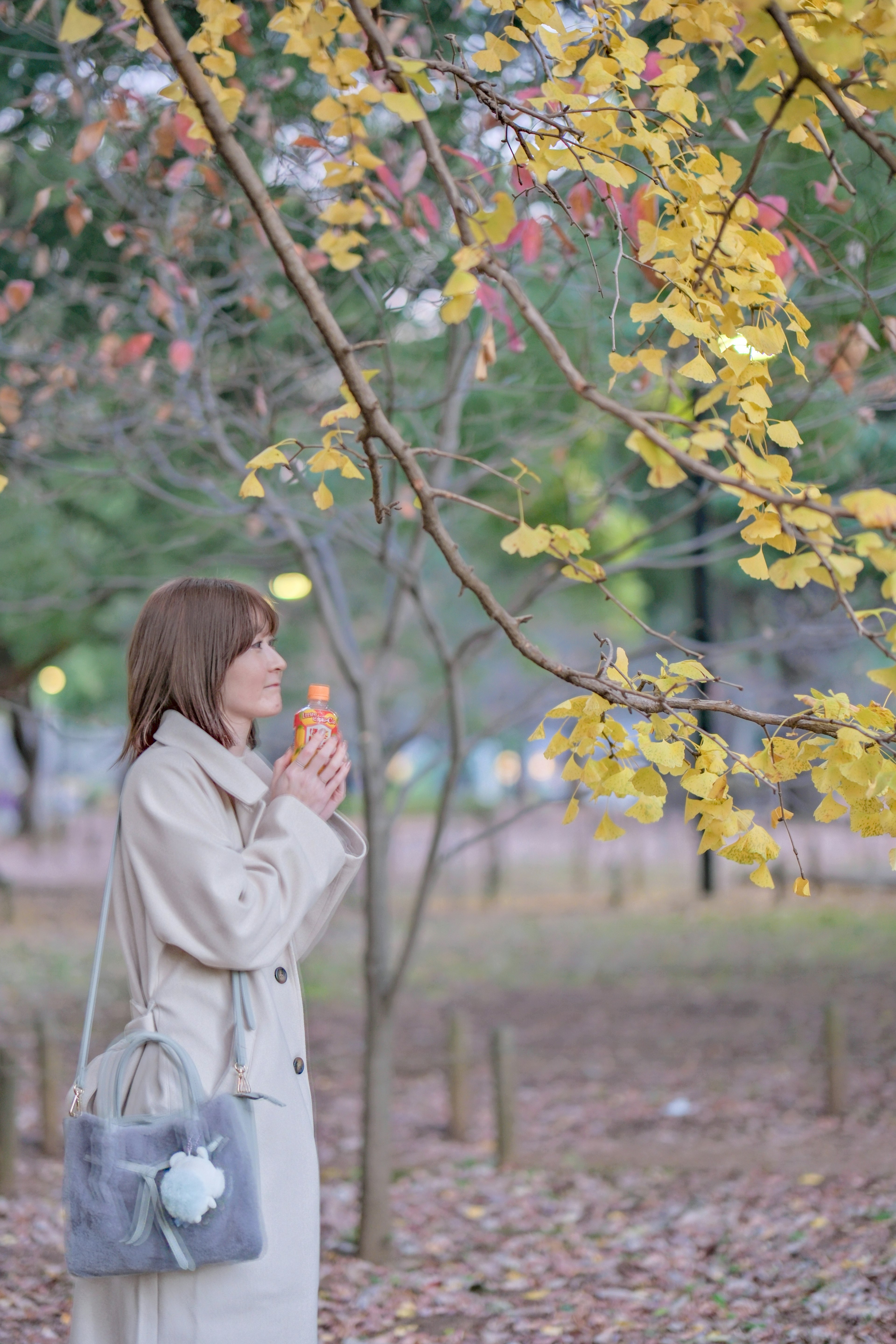 Mujer mirando hojas amarillas en un parque de otoño