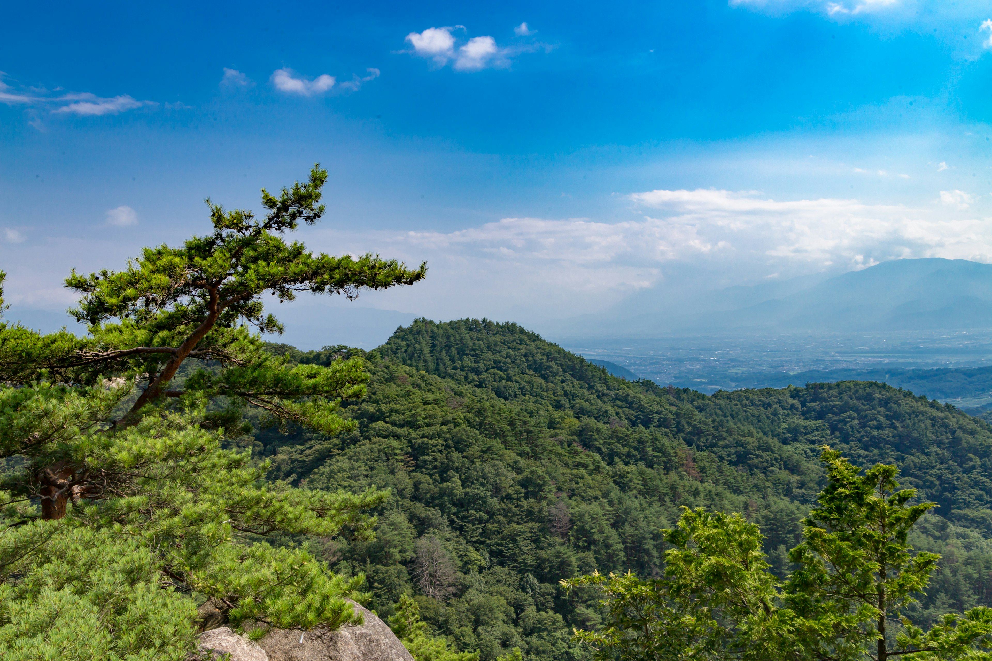 Vue panoramique de montagnes vertes sous un ciel bleu avec des arbres hauts et des sommets lointains