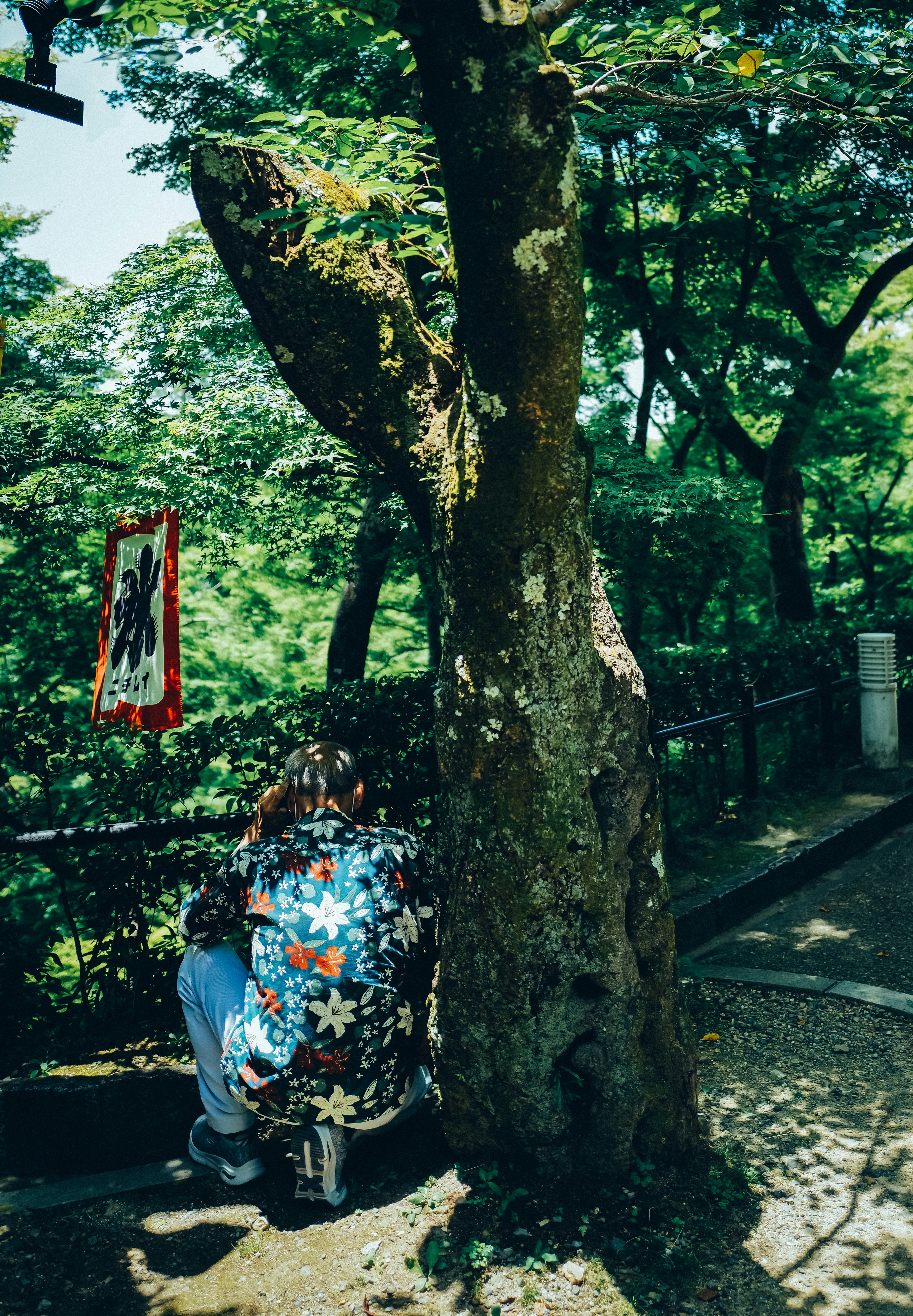 木の近くに座っている人と緑の風景