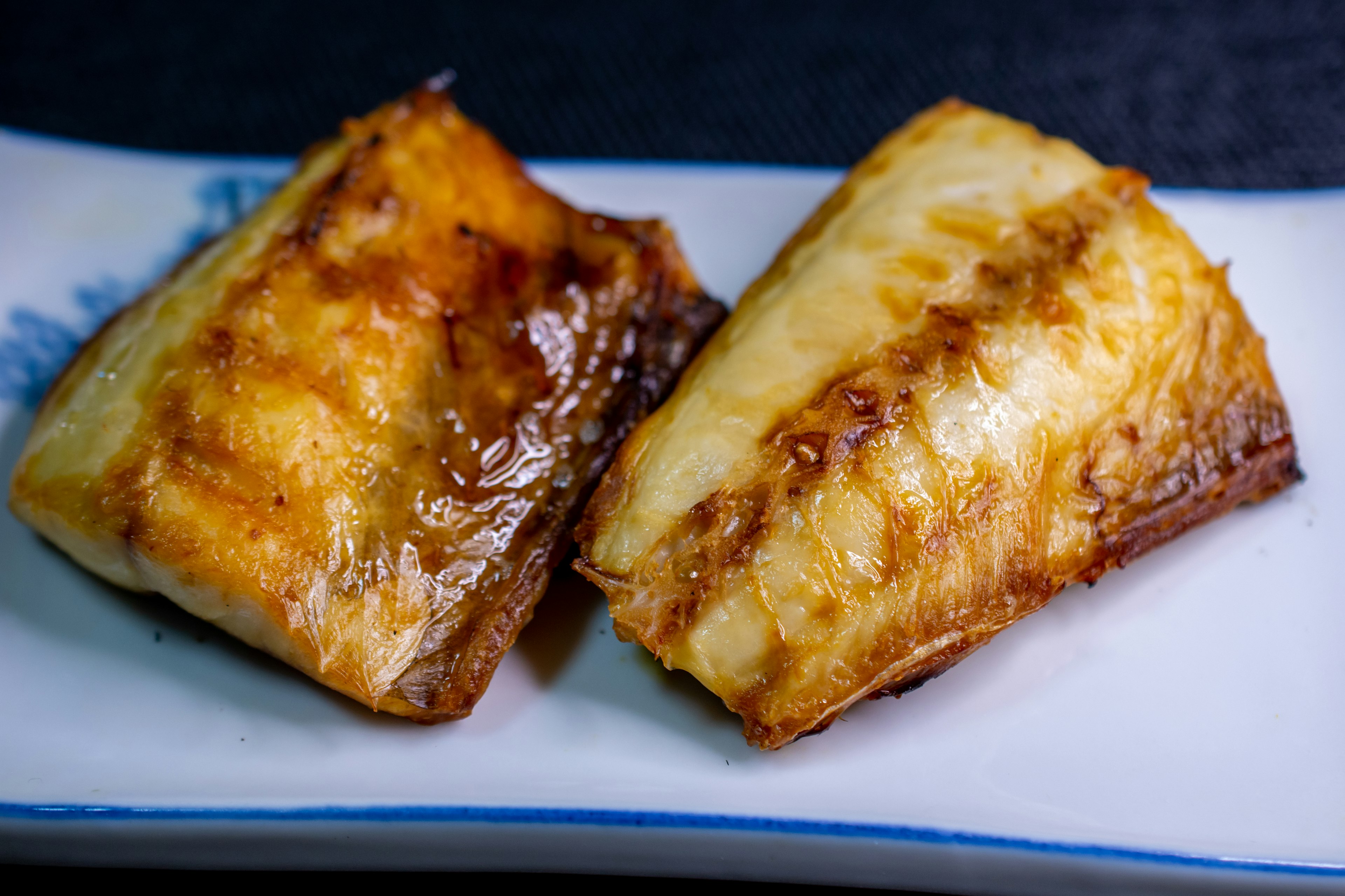 Deux morceaux de poisson grillé sur une assiette