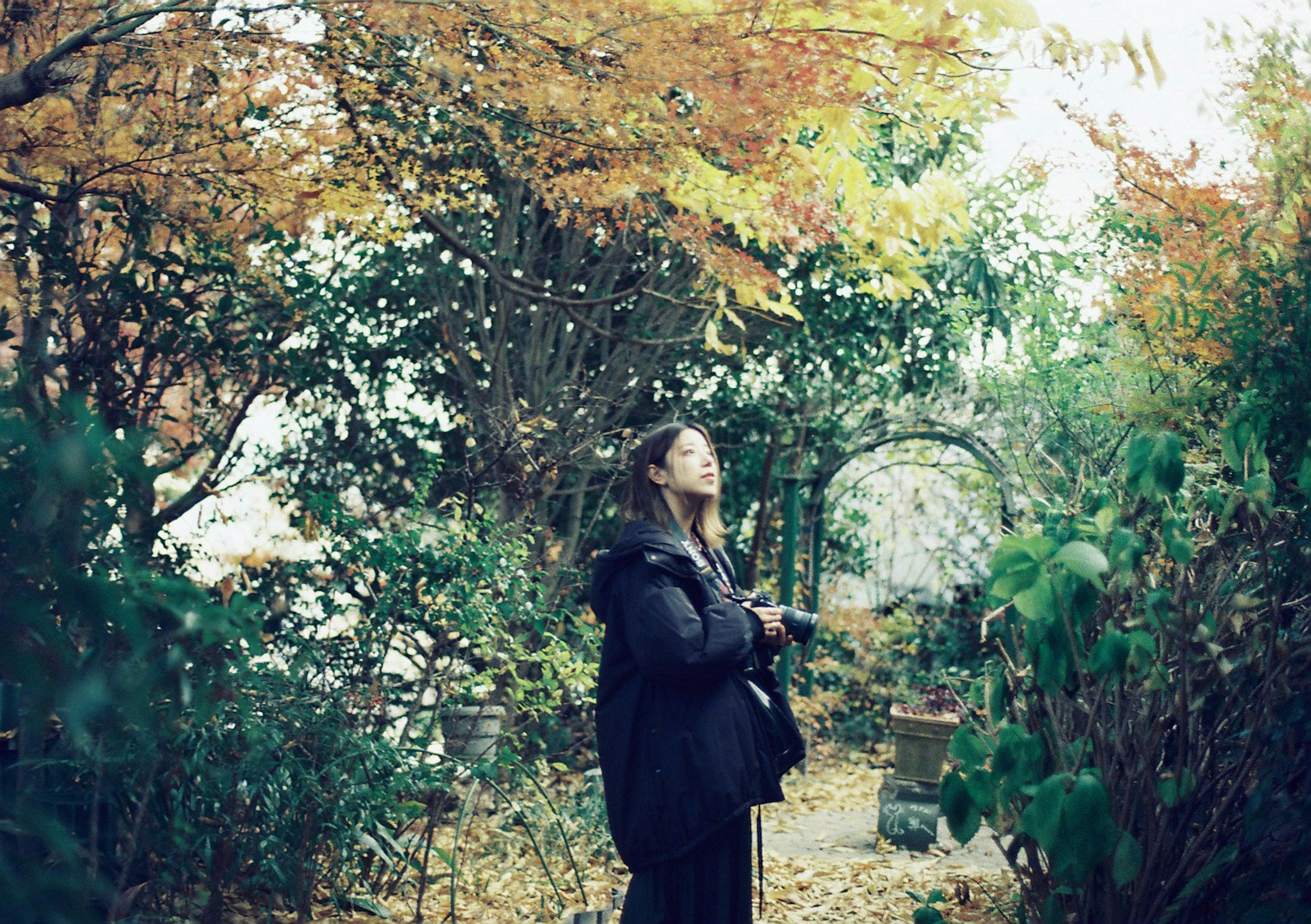 Une femme entourée d'arbres d'automne regardant le ciel