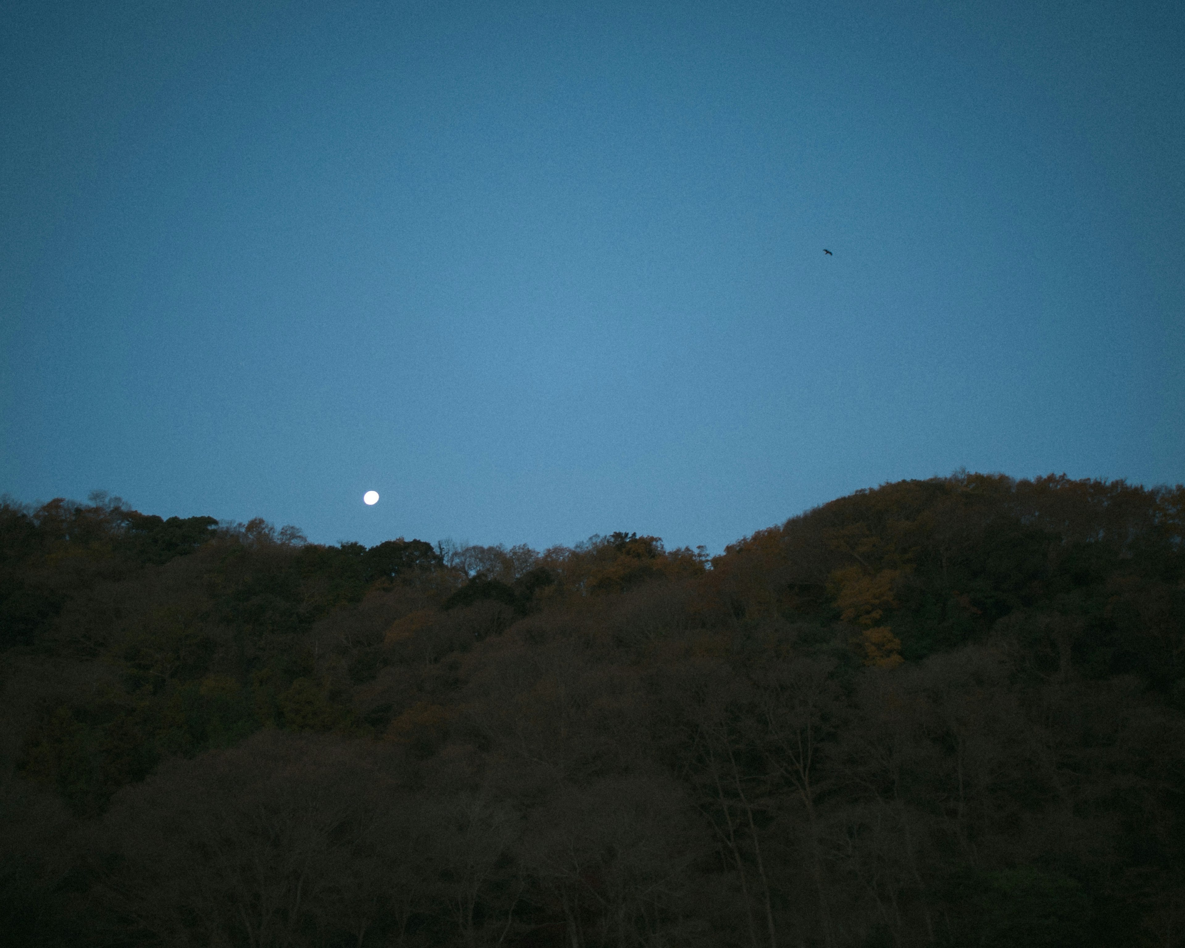 Mond im blauen Himmel über einer Silhouette von Hügeln