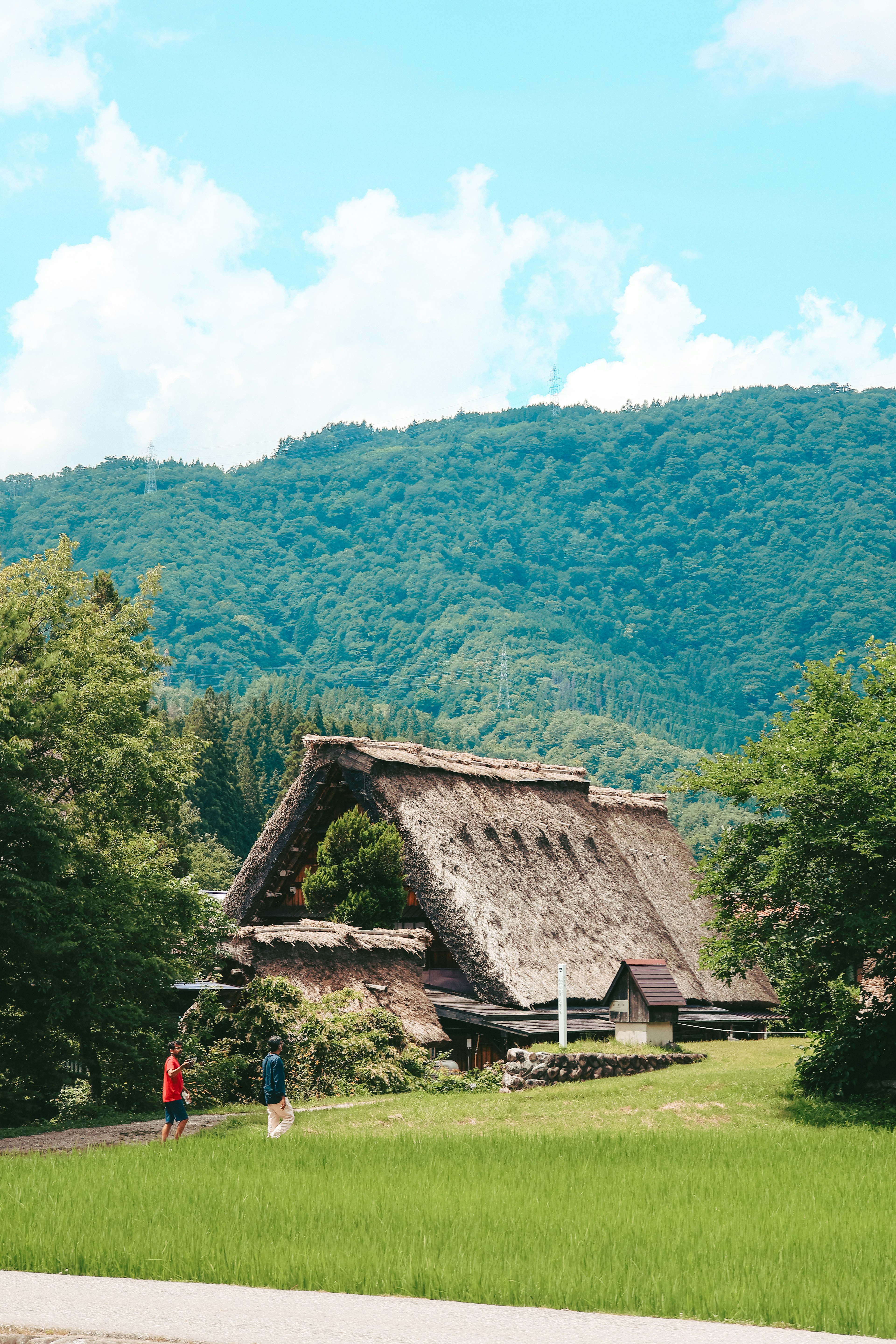 山の背景にある伝統的な茅葺き屋根の家と緑の田んぼ