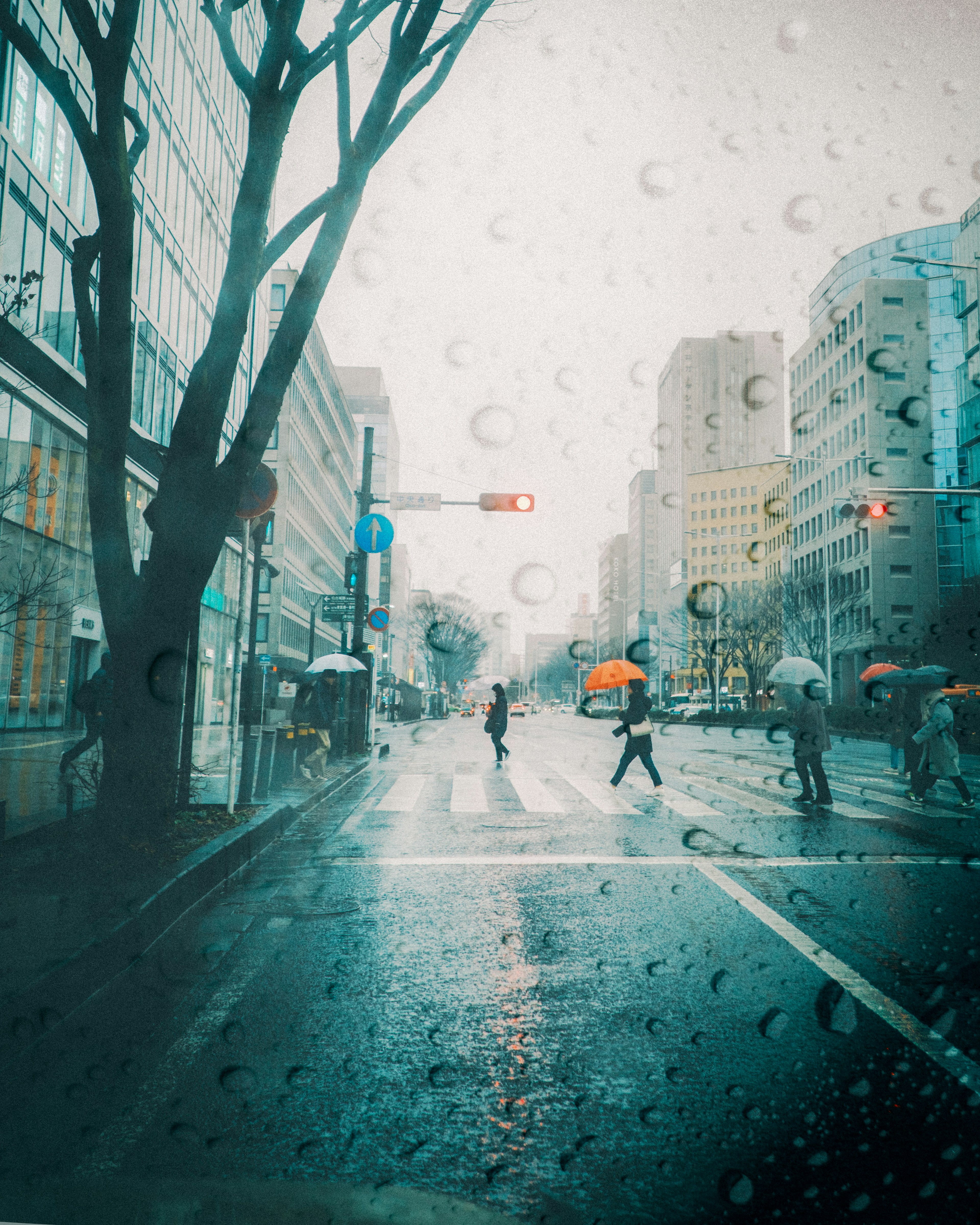 People crossing the street in the rain with umbrellas